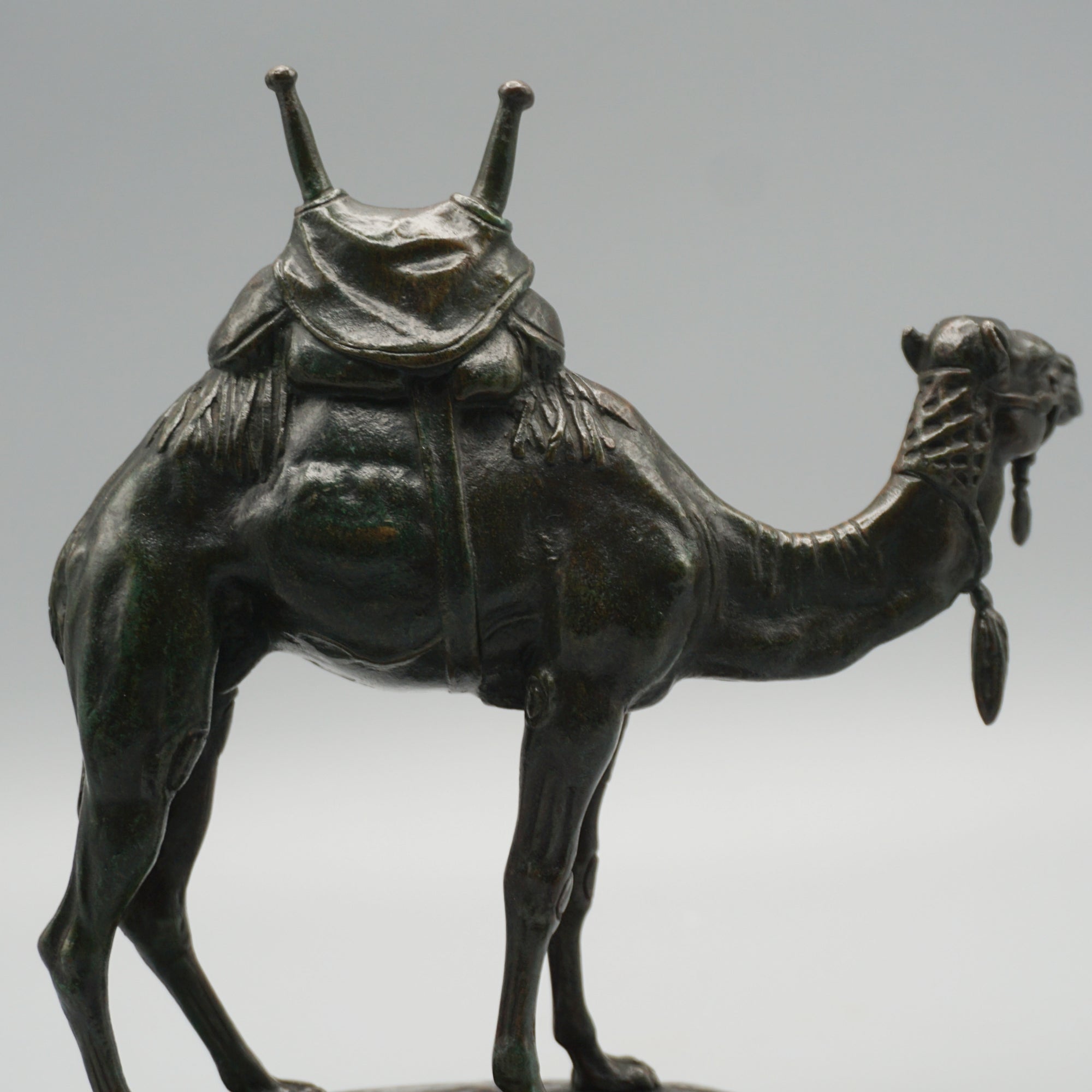 'Dromadaire' A Saddled Camel bronze Sculpture by Alfred Barye - Jeroen Markies Art Deco