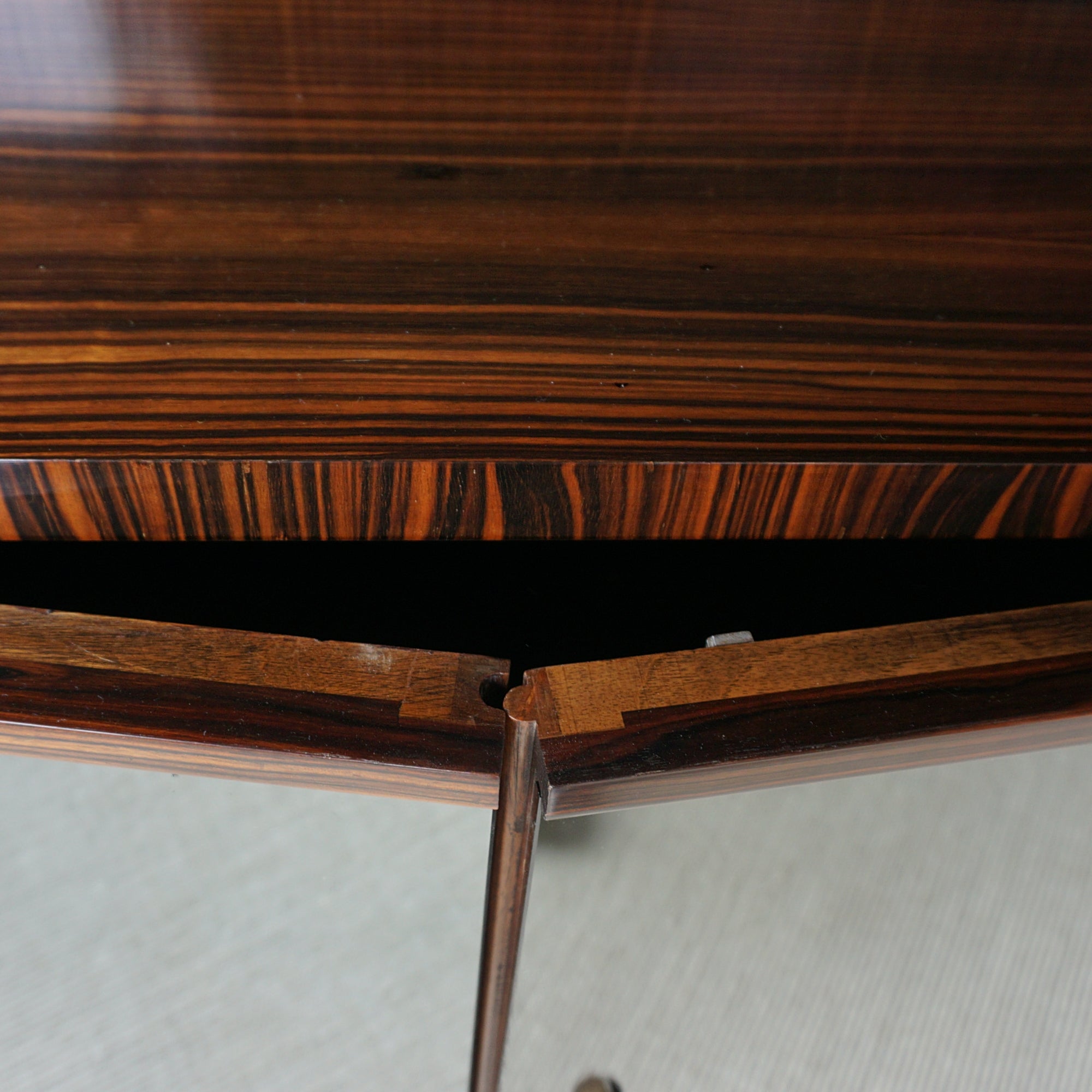 Exceptional Macassar Ebony and Frosted Mirrored bookcase cabinet -Jeroen Markies Art Deco