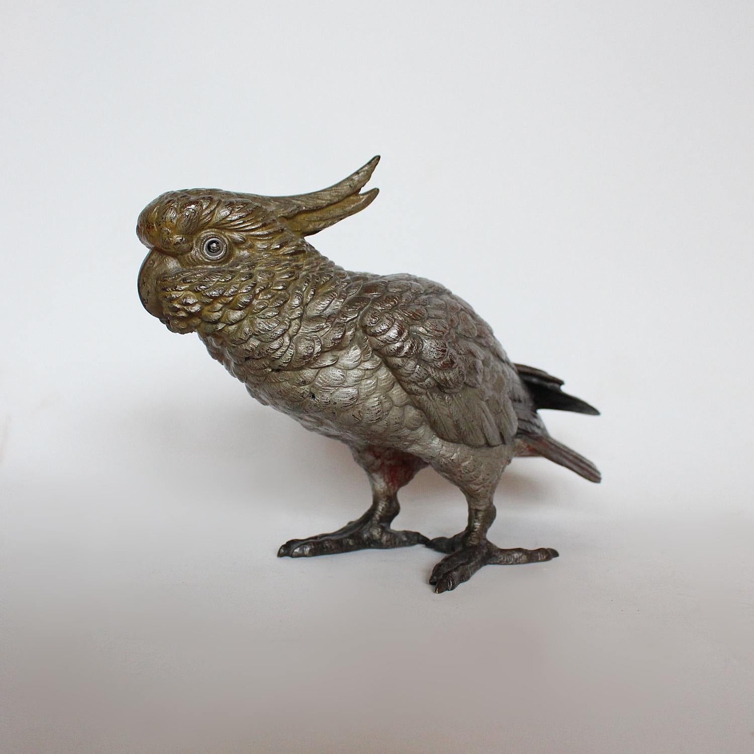 Austrian cold painted bronze cockatoo CIRCA 1900 at Jeroen Markies