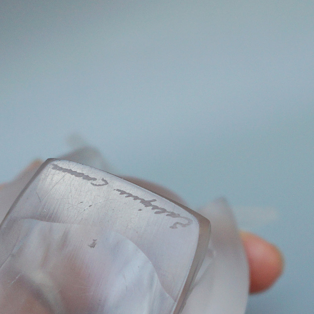 Moineau Timide Lalique Glass Paperweight - Jeroen Markies Art Deco