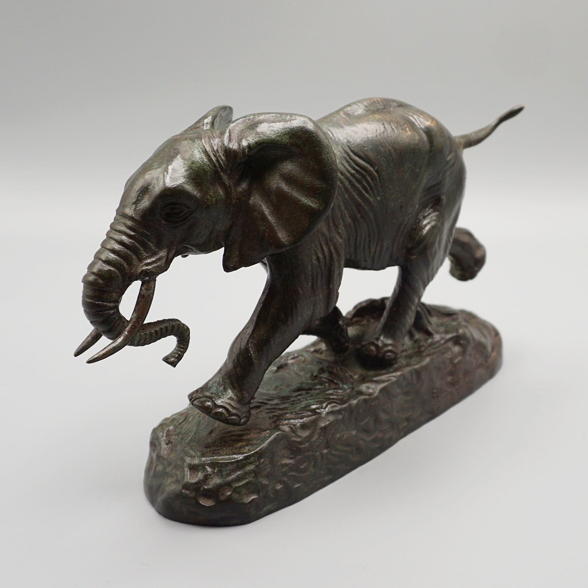 Elephant Du Senegal Bronze by Antoine-Louis Barye - Jeroen Markies Art Deco