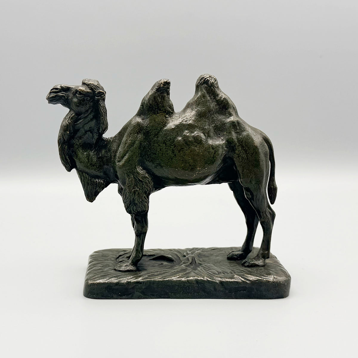 'Bactrian Came' Alfred Barye (1839-1895)