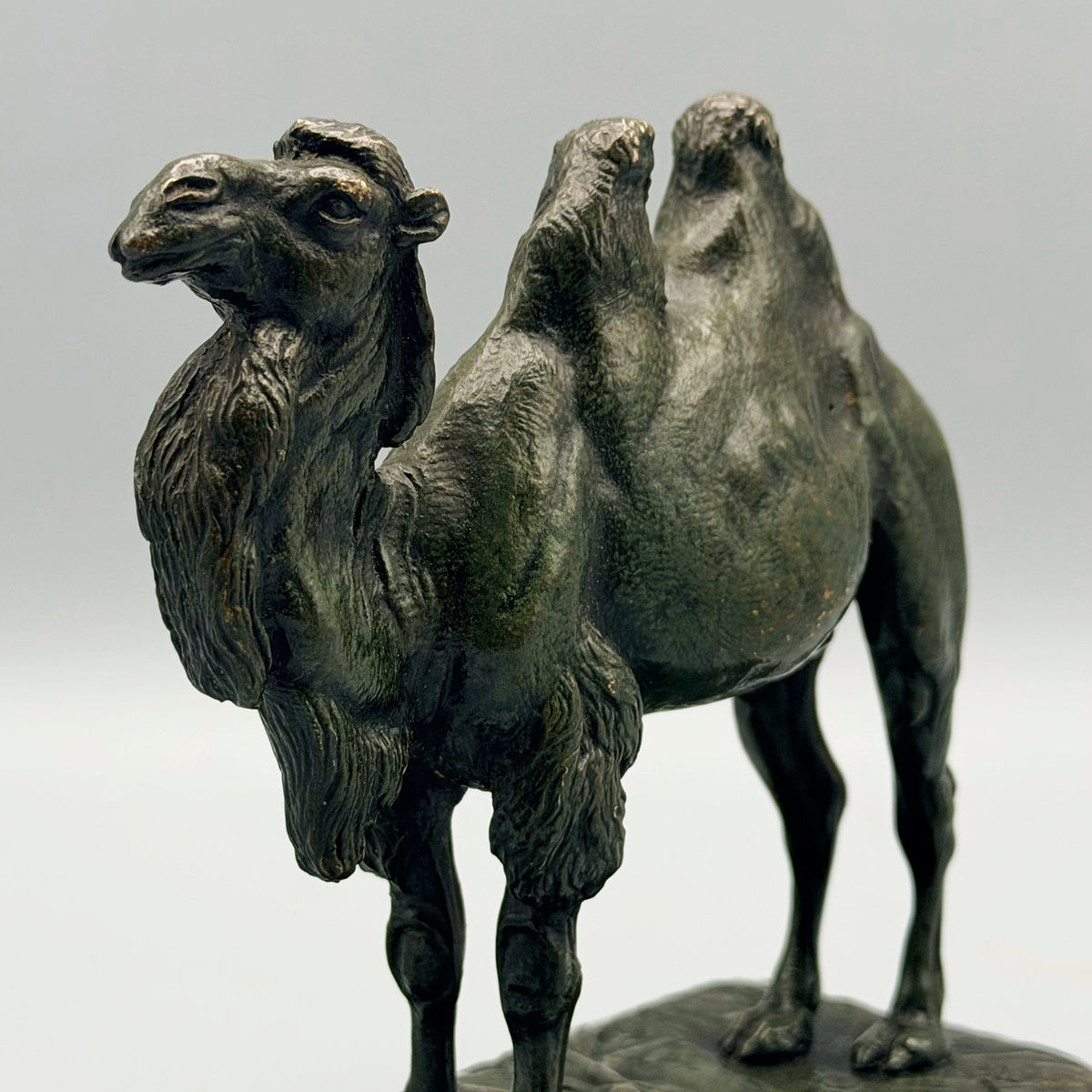 Bactrian Camel by Alfred Barye Bronze Sculpture Circa 1880 | Markies Antiques Ltd