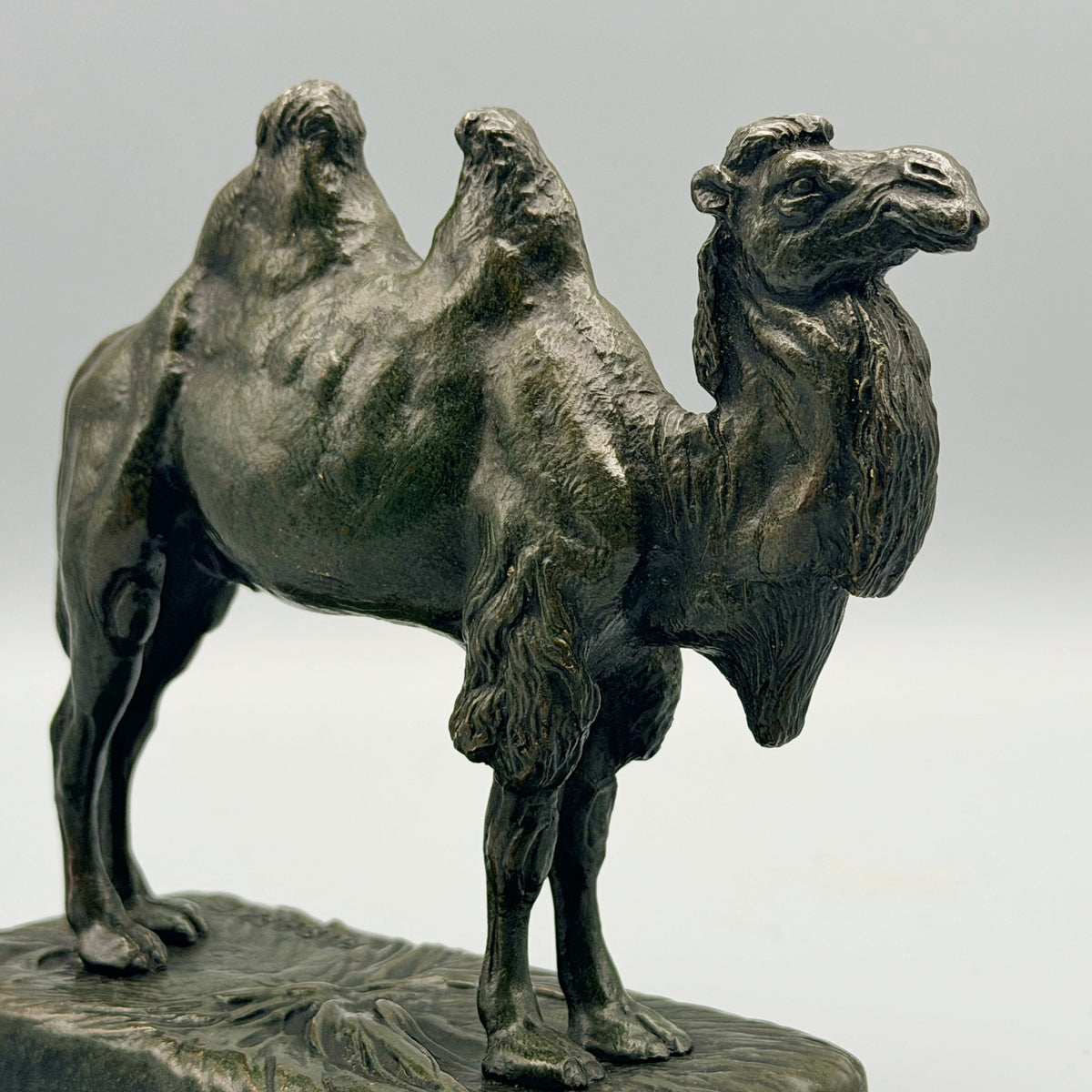 Bactrian Camel by Alfred Barye Bronze Sculpture Circa 1880 | Markies Antiques Ltd