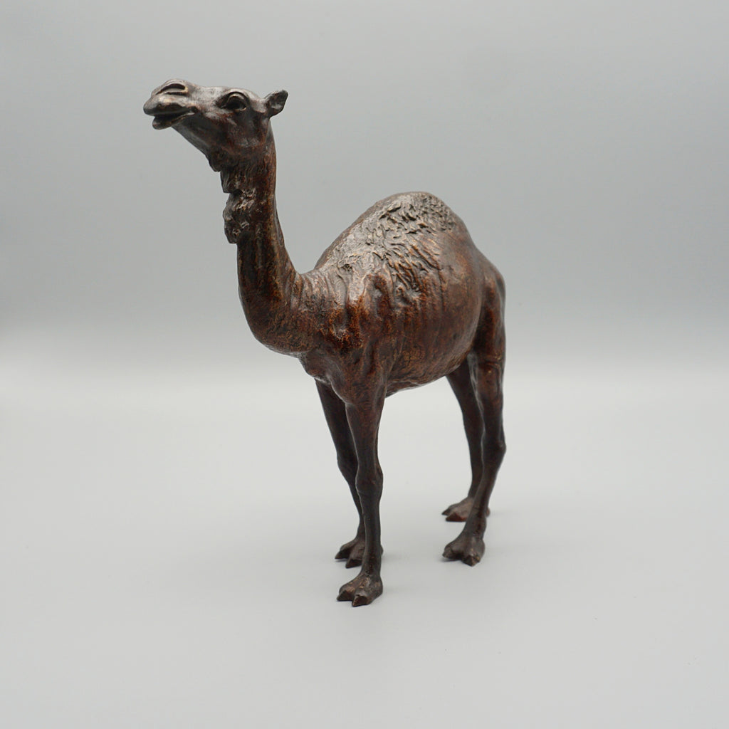 'Dromadaire' Bronze Sculpture by Franz Bergman (1861-1936)