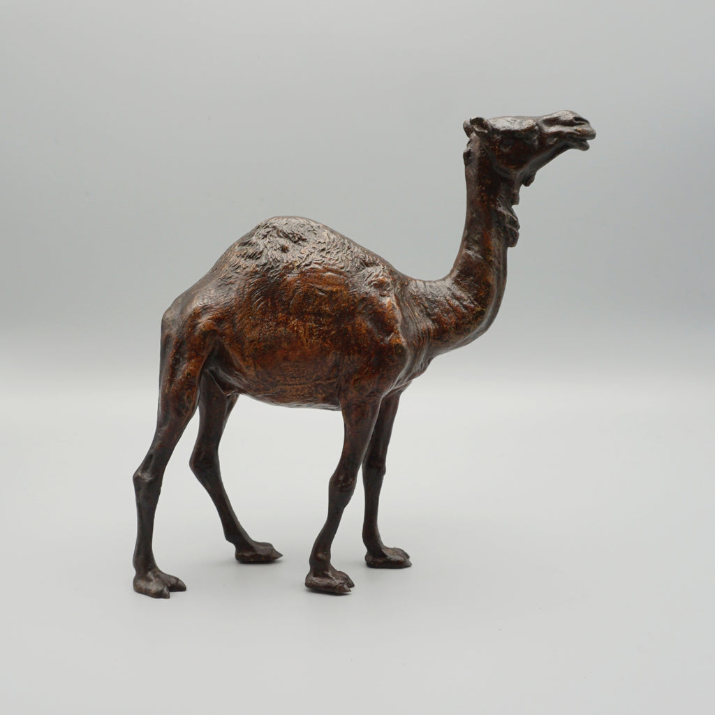 'Dromadaire' Bronze Sculpture by Franz Bergman (1861-1936)