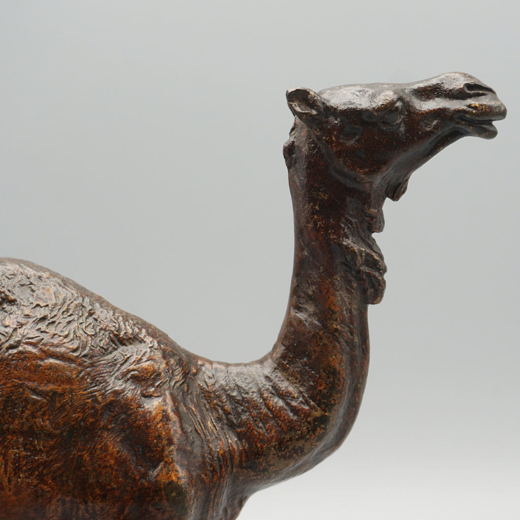 'Dromadaire' Bronze Sculpture by Franz Bergman (1861-1936)