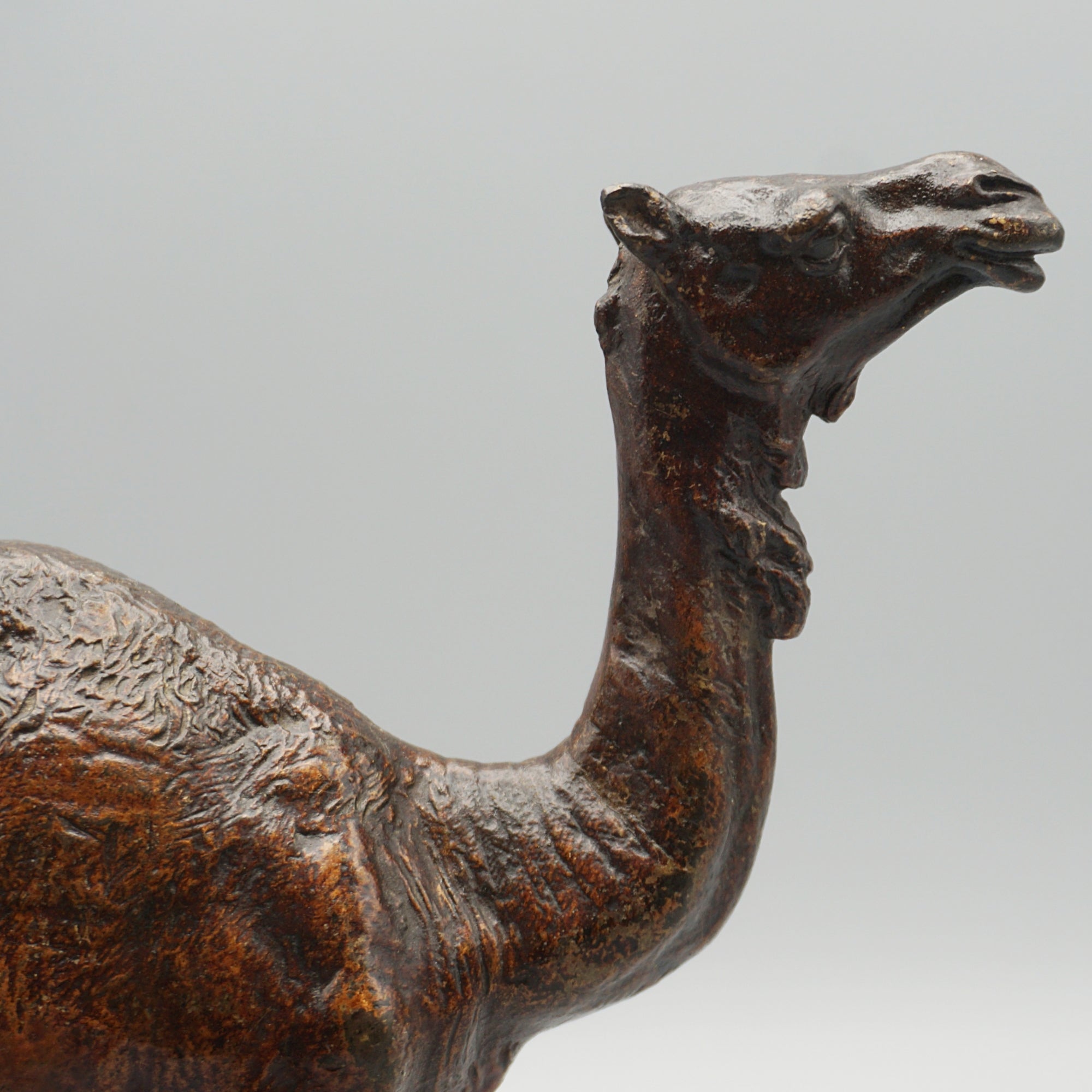 'Dromadaire' Bronze Sculpture by Franz Bergman (1861-1936)