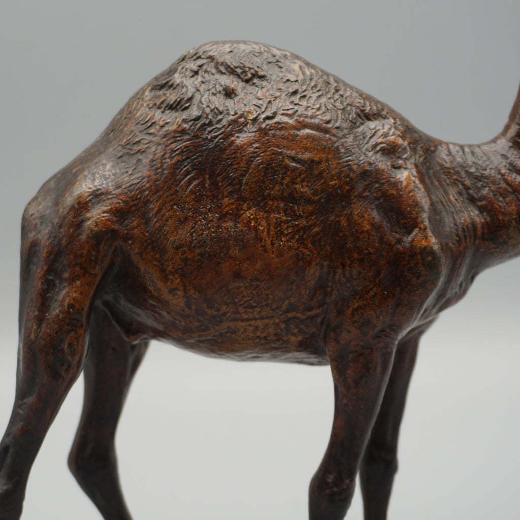'Dromadaire' Bronze Sculpture by Franz Bergman (1861-1936)