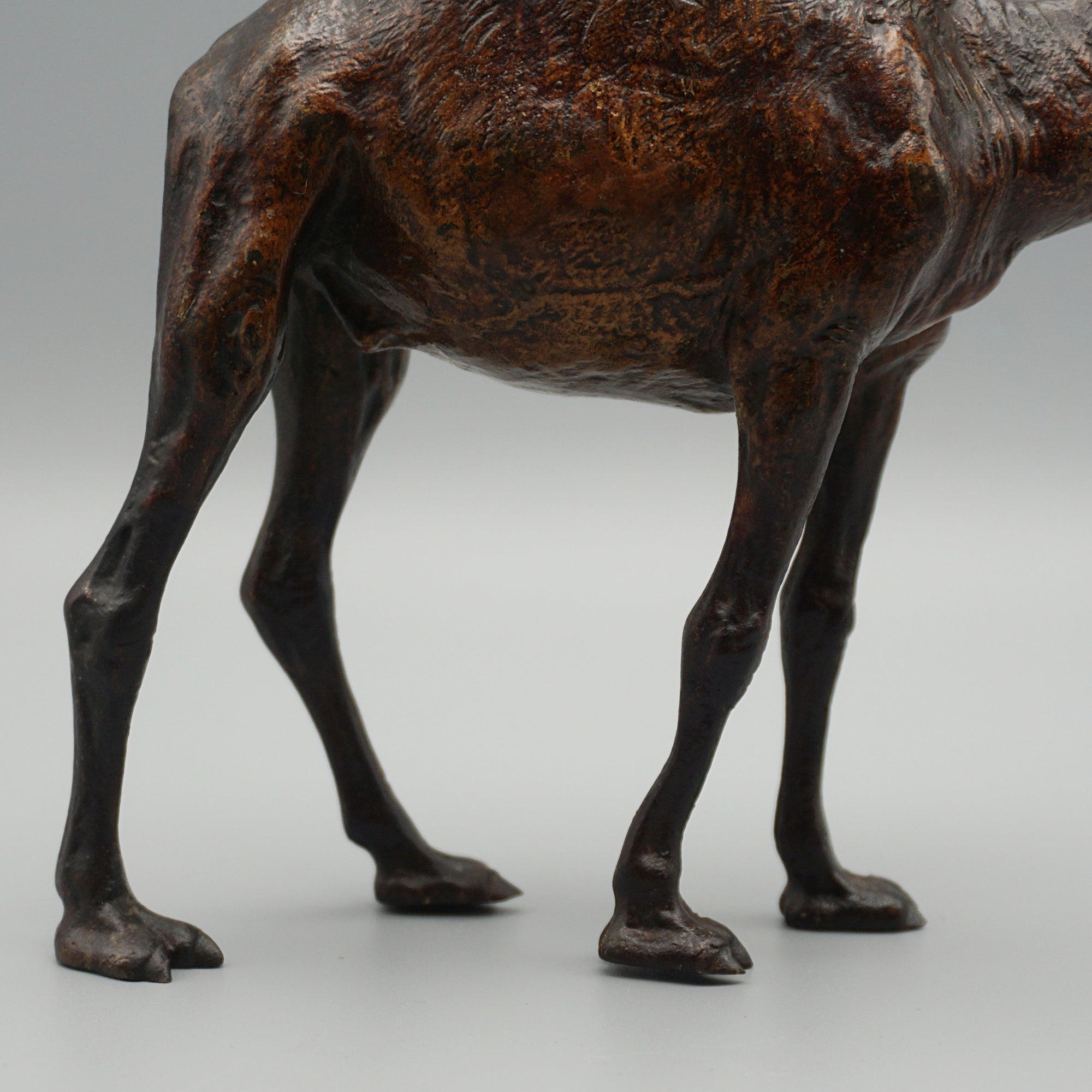'Dromadaire' Bronze Sculpture by Franz Bergman (1861-1936)