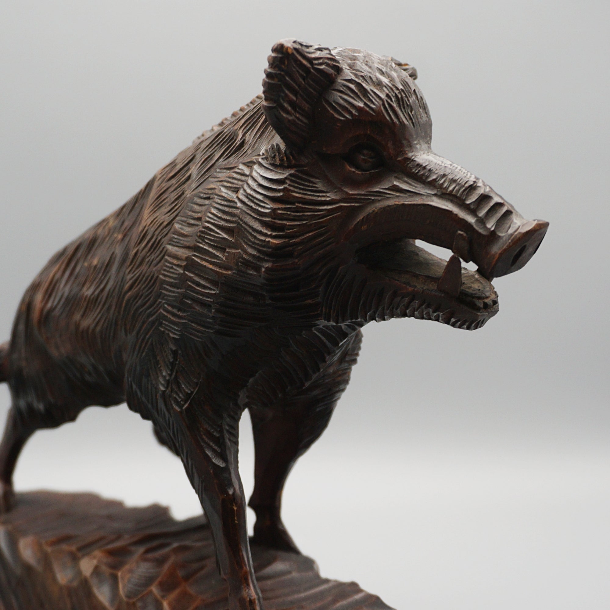 Black Forest Boar Circa 1900 - Jeroen Markies Art Deco