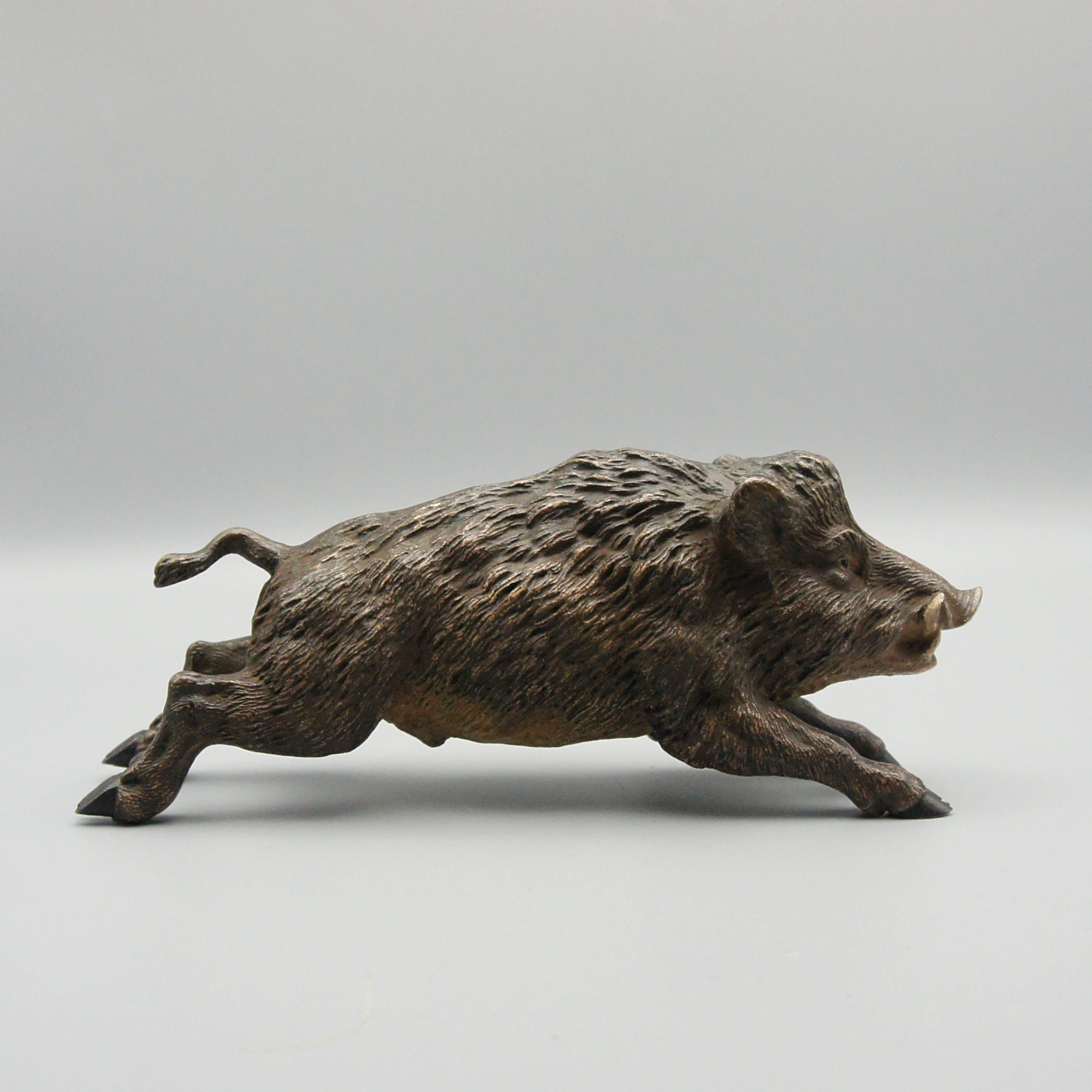 'Running Boar' Franz Bergman