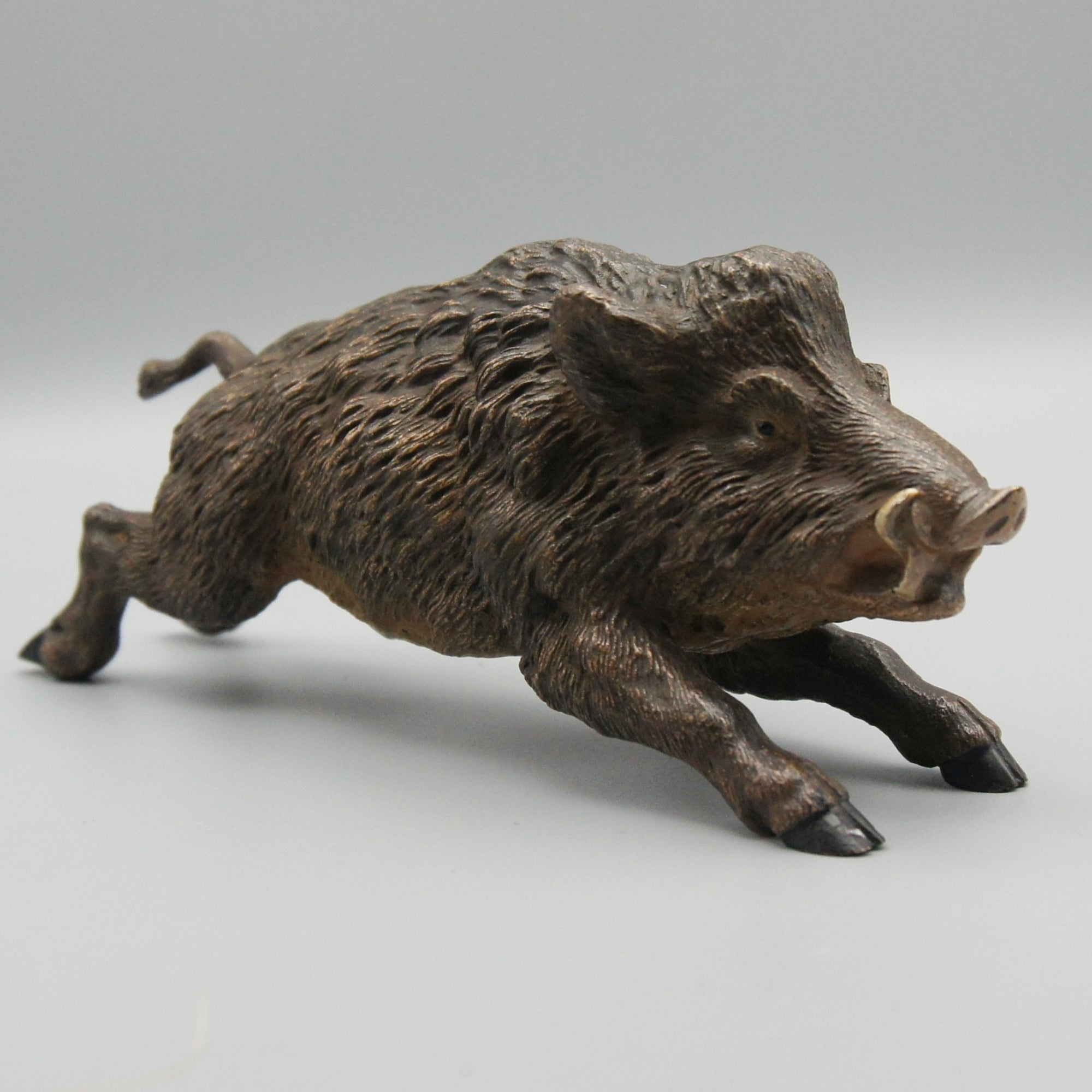 'Running Boar' Franz Bergman