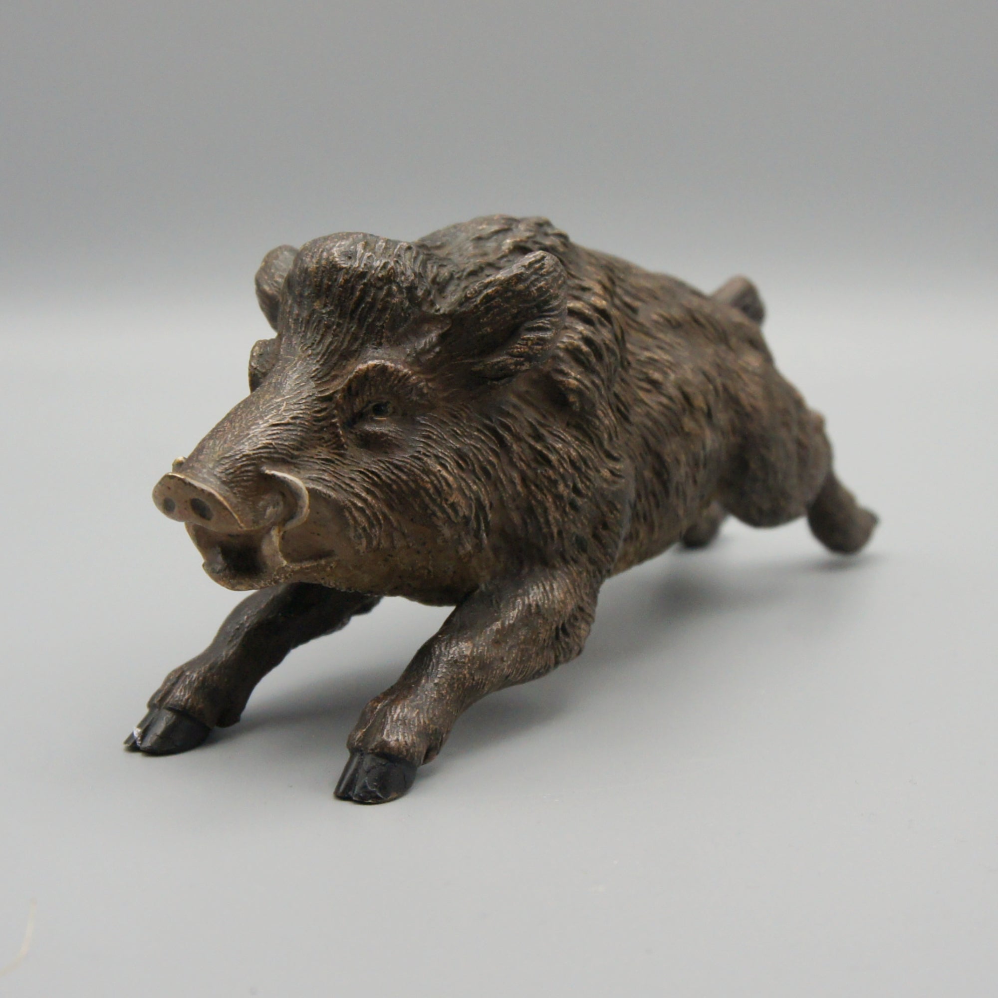 'Running Boar' Franz Bergman