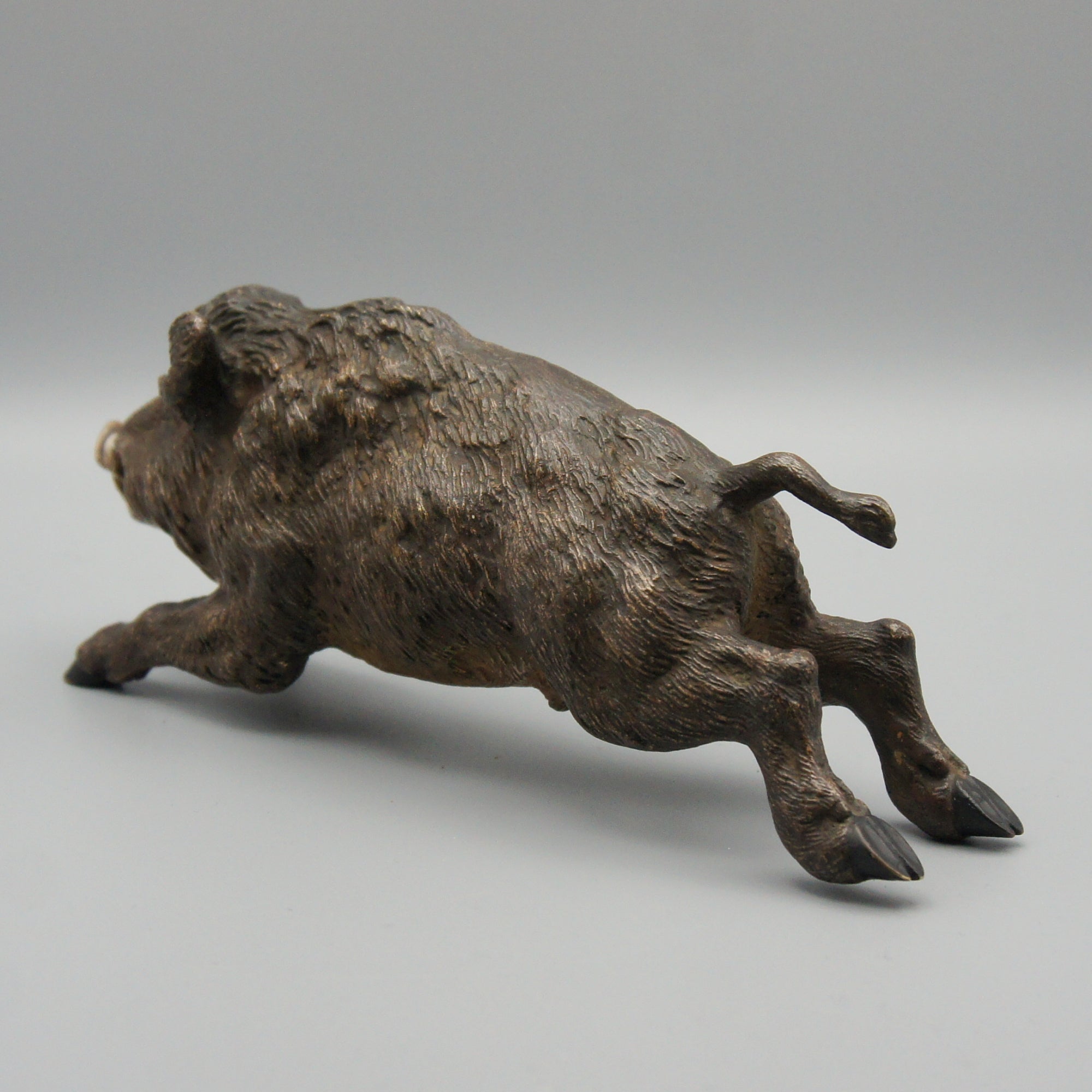 'Running Boar' Franz Bergman