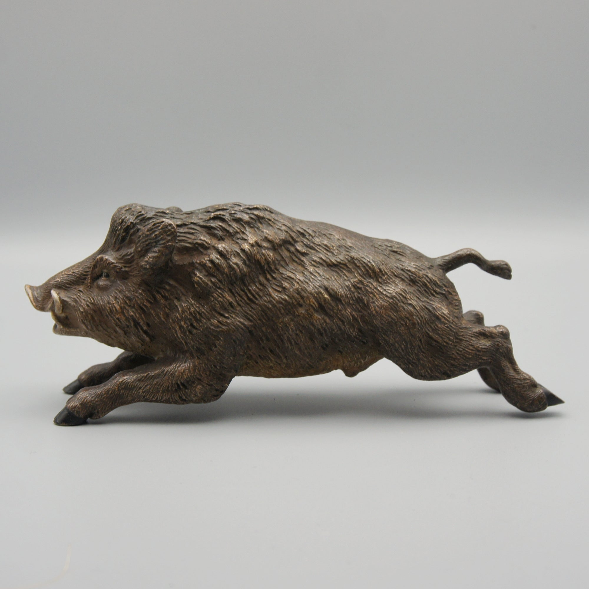 'Running Boar' Franz Bergman