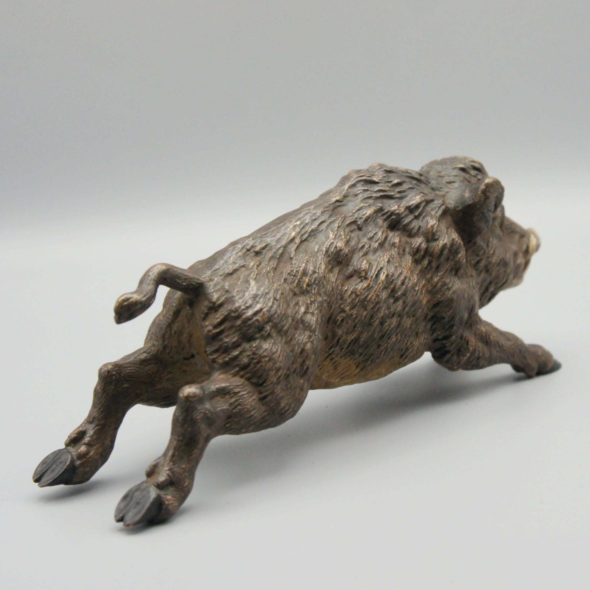 'Running Boar' Franz Bergman