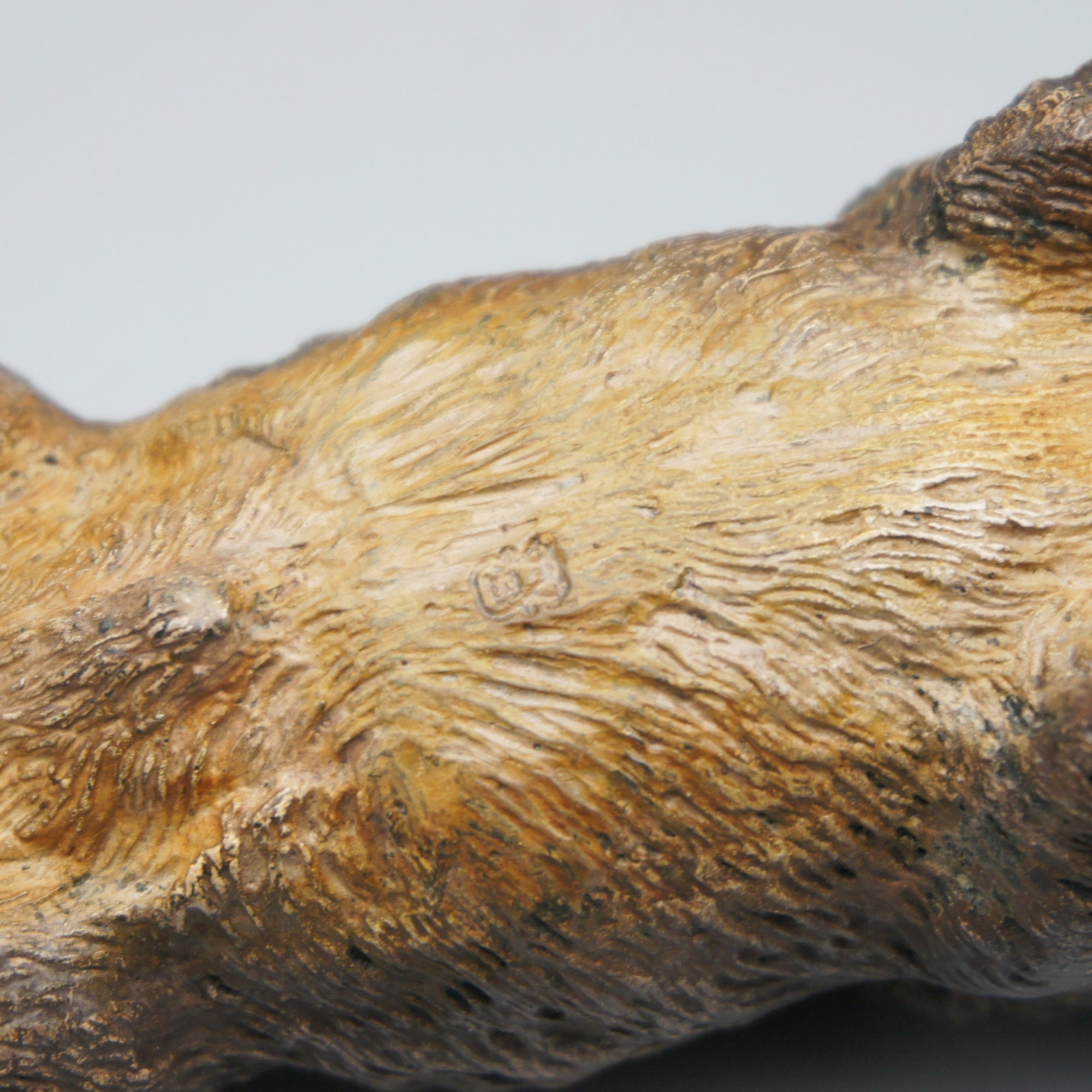 'Running Boar' Franz Bergman