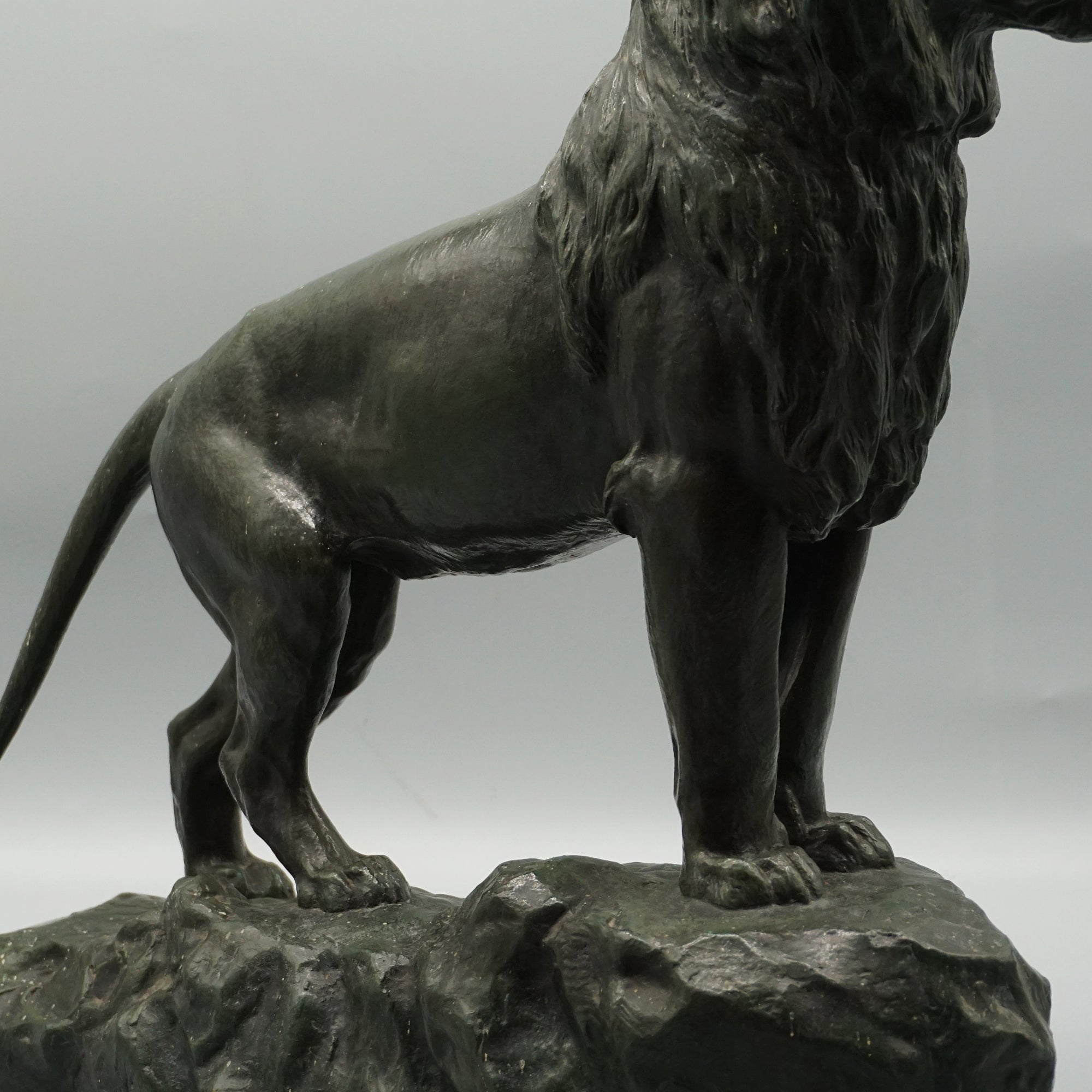 Standing Lion