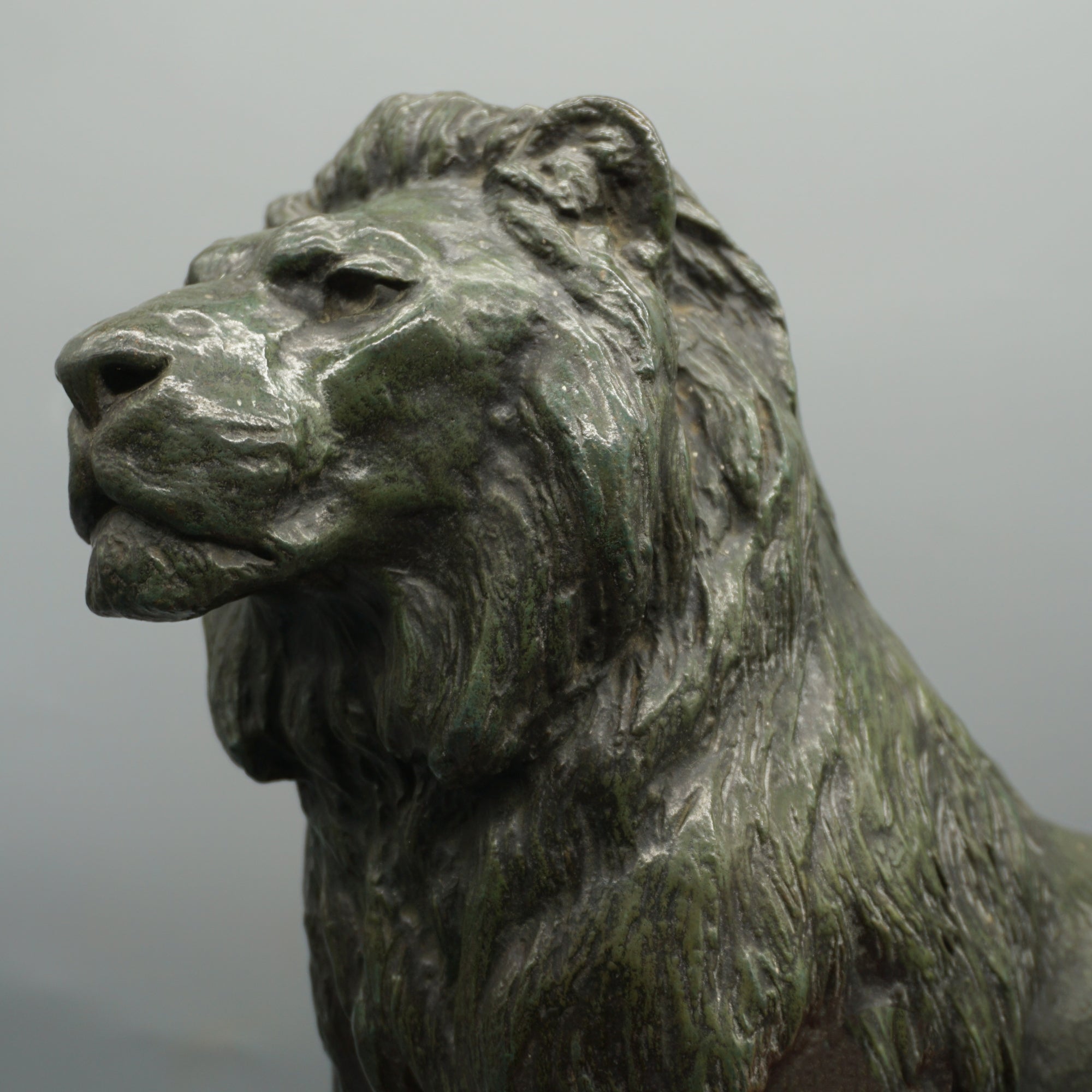 Standing Lion