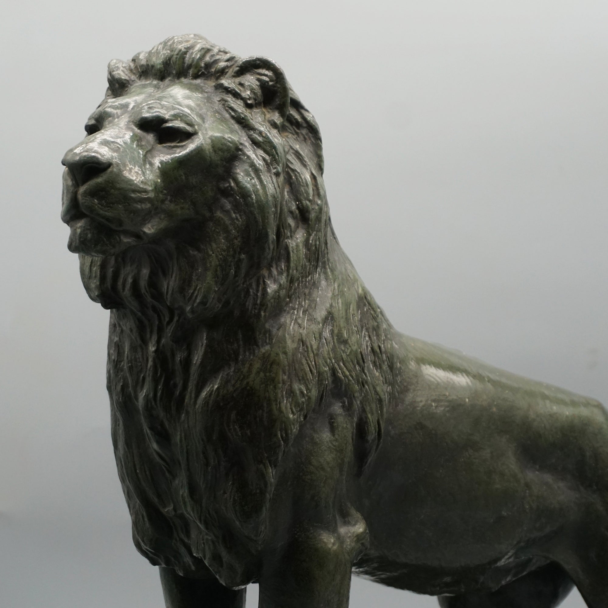 Standing Lion