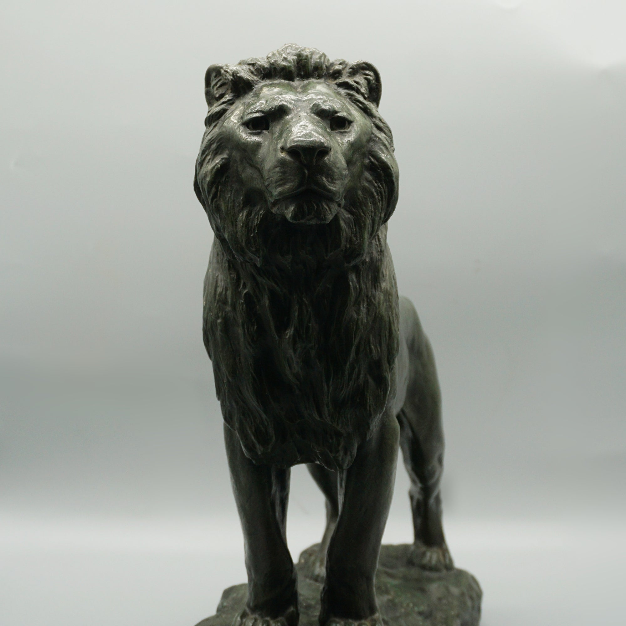 Standing Lion
