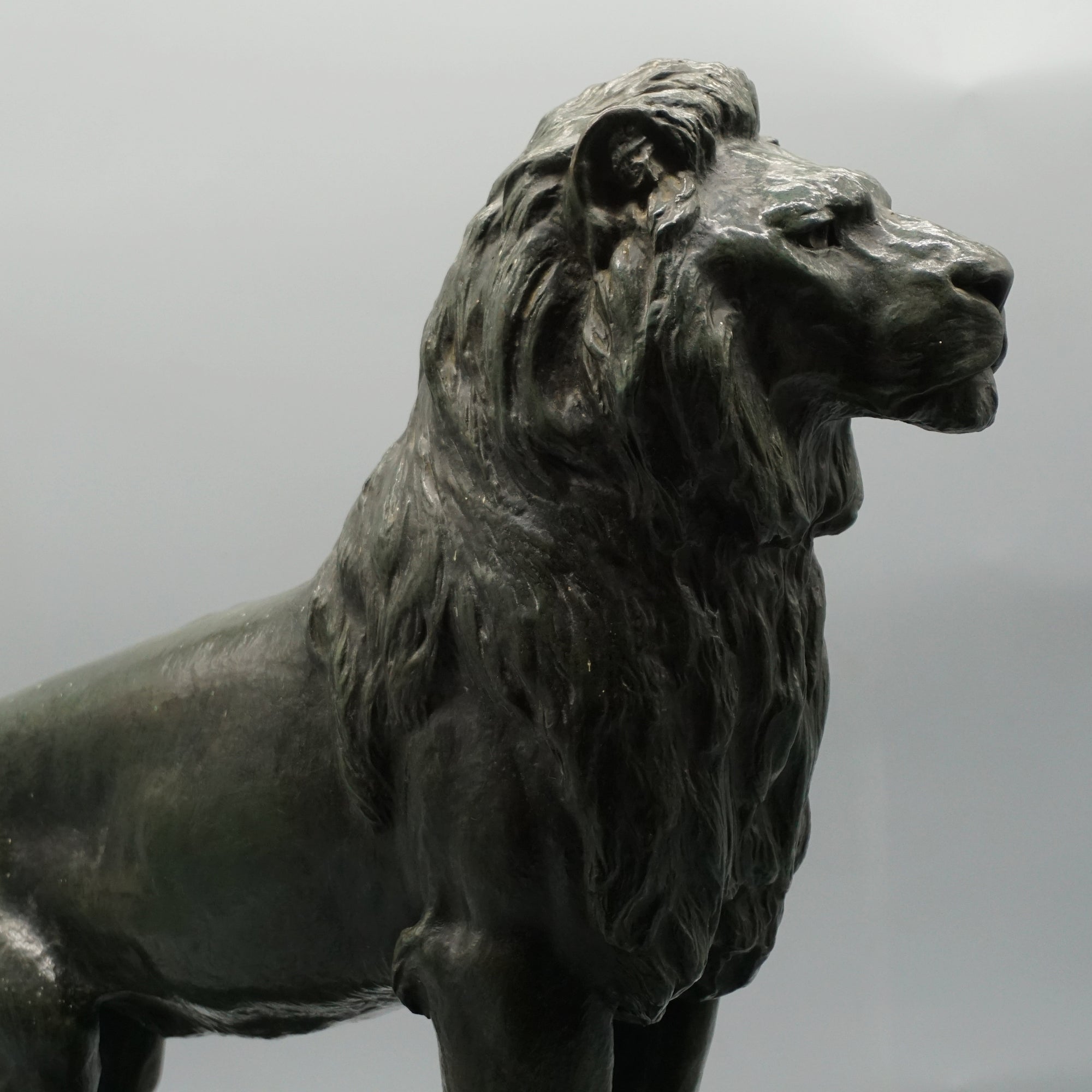 Standing Lion