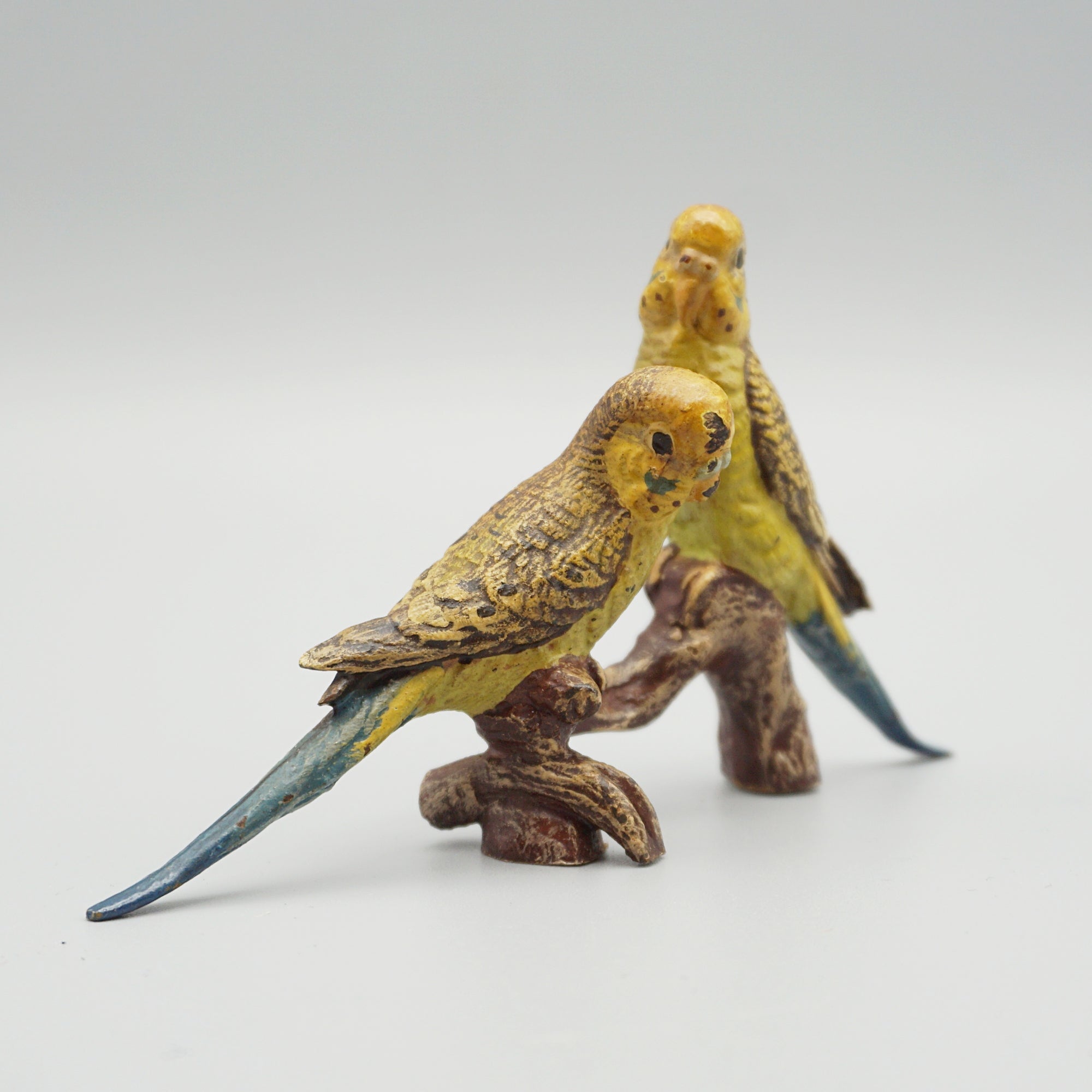 Cold Painted Bronze Budgerigars