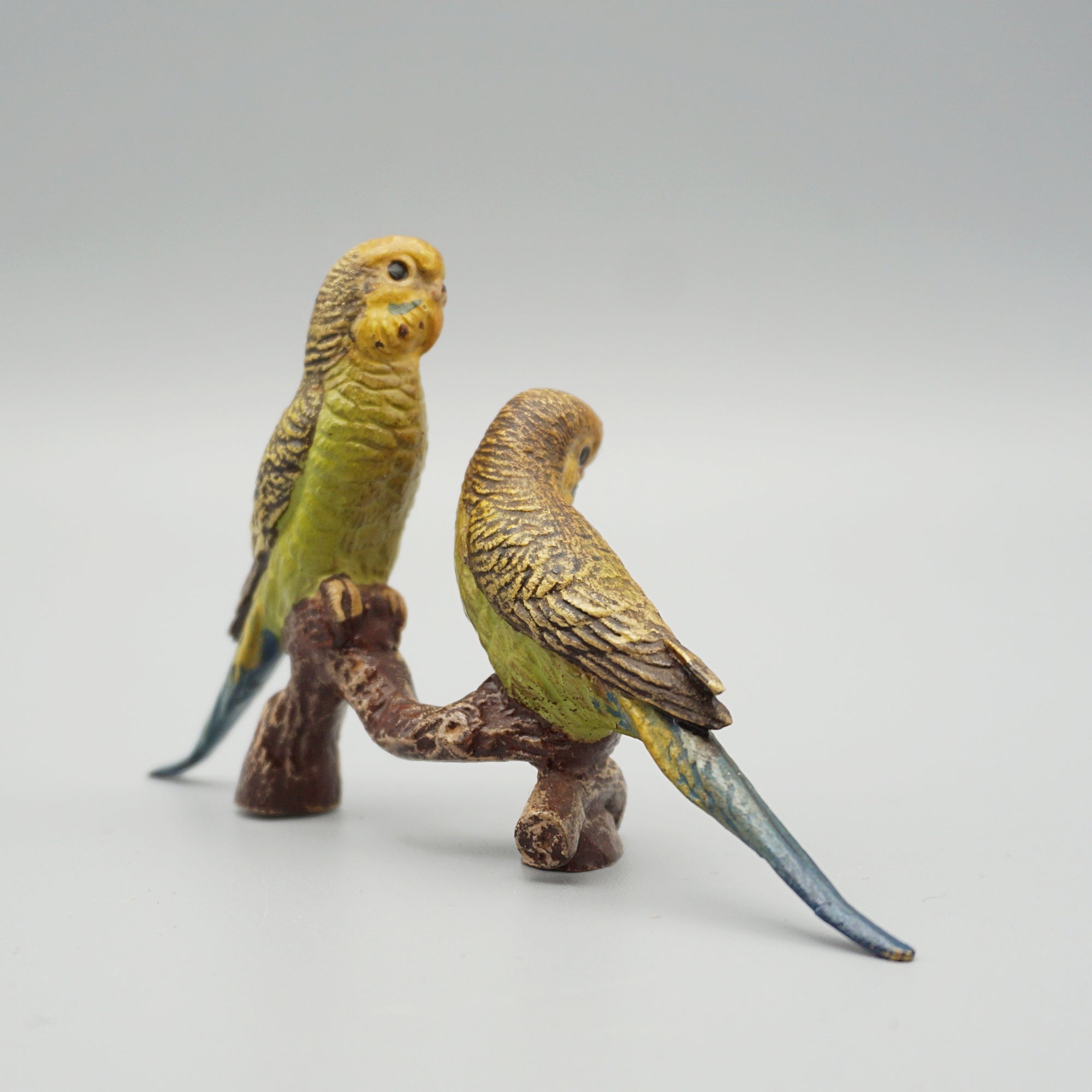 Cold Painted Bronze Budgerigars