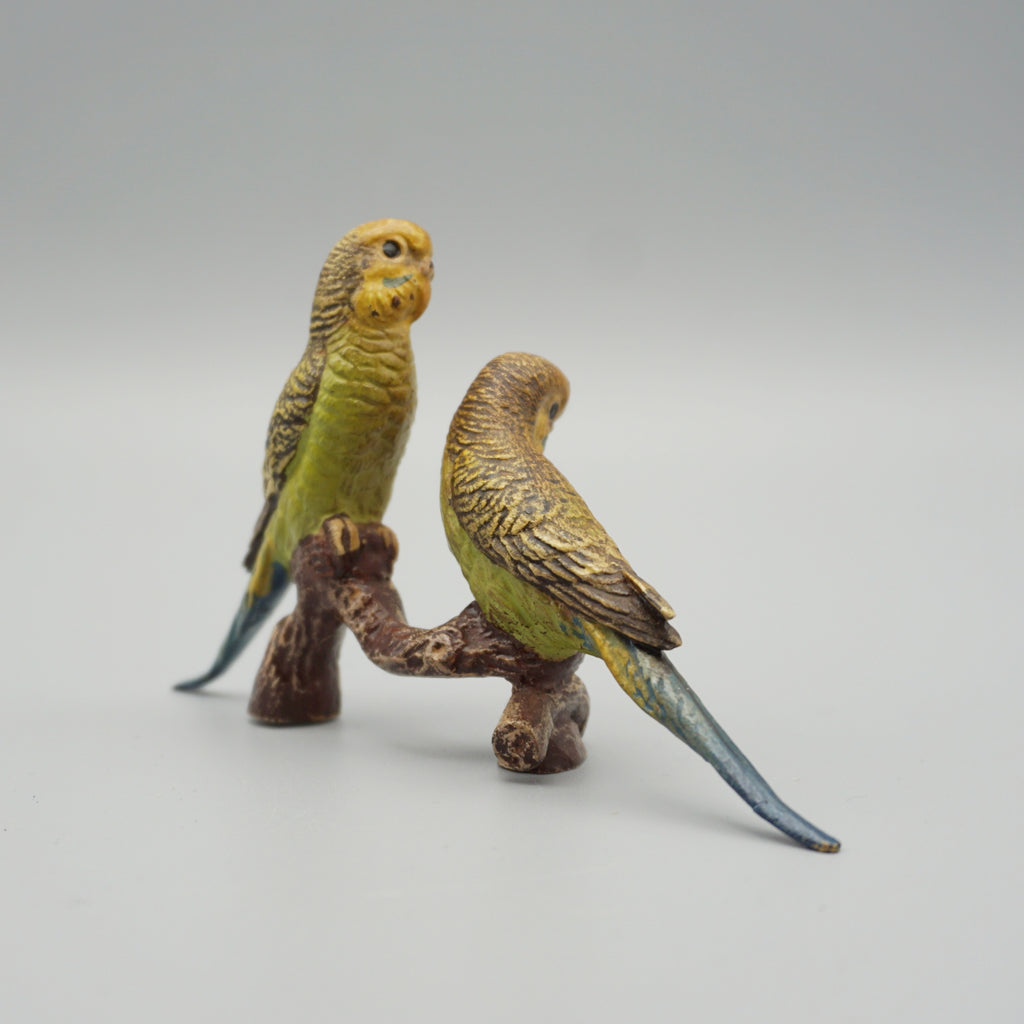 Cold Painted Bronze Budgerigars