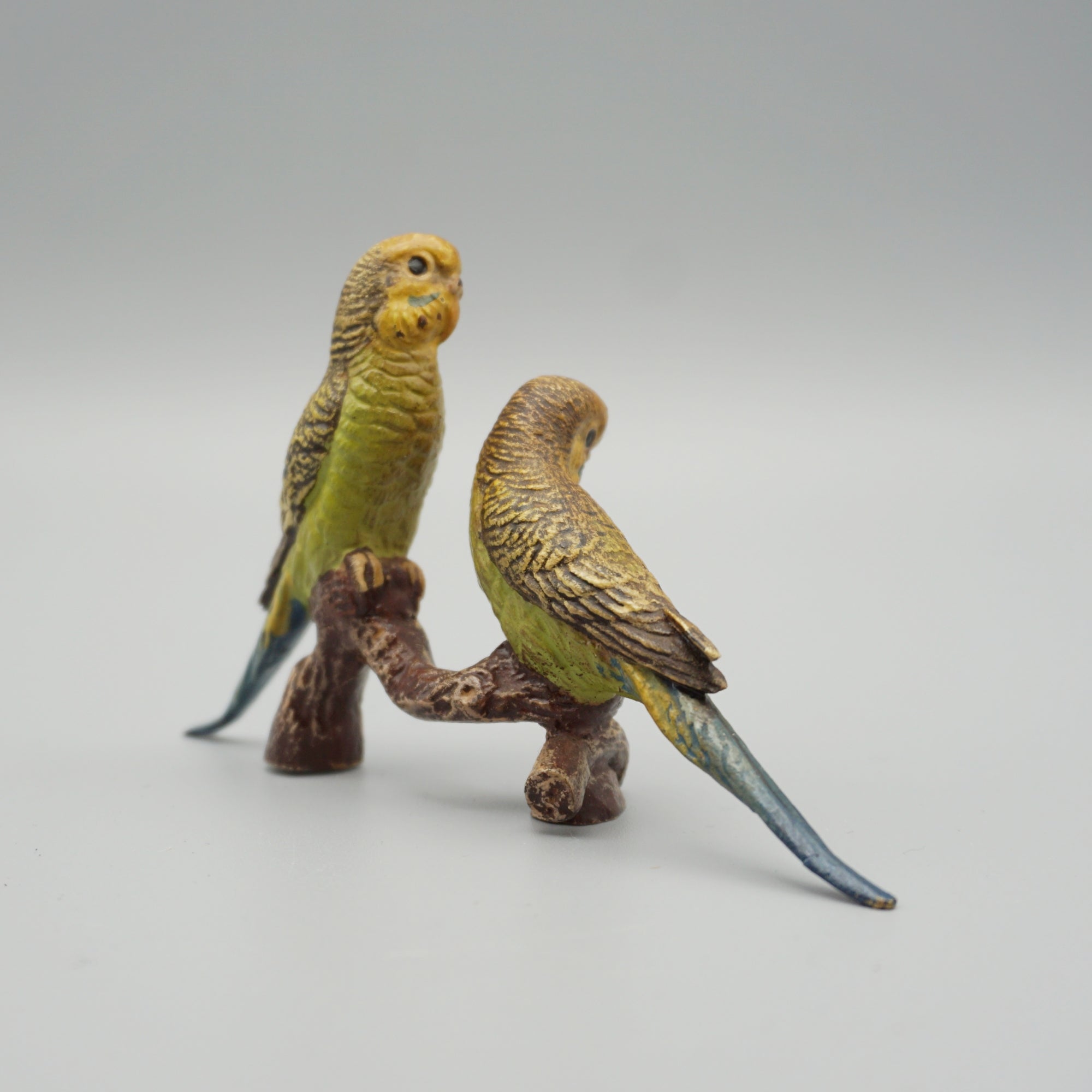 Cold Painted Bronze Budgerigars