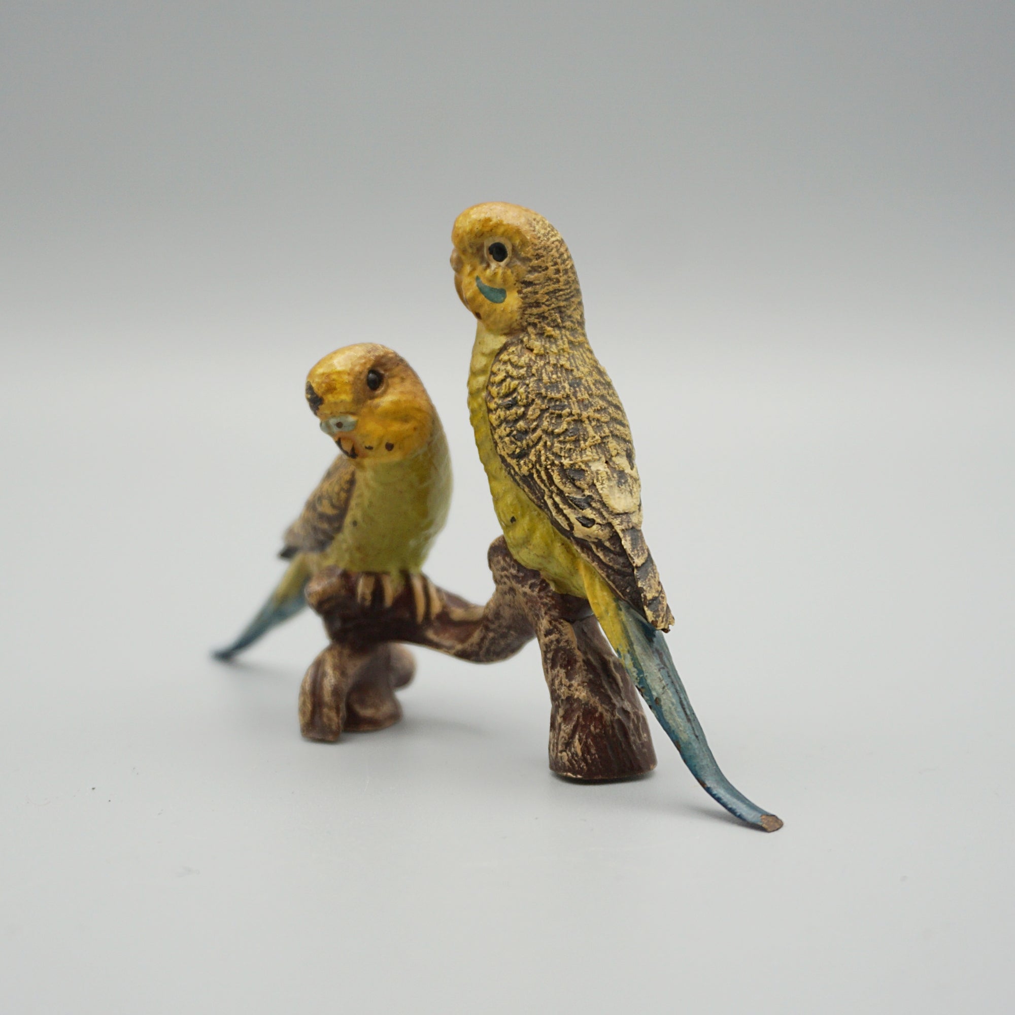 Cold Painted Bronze Budgerigars
