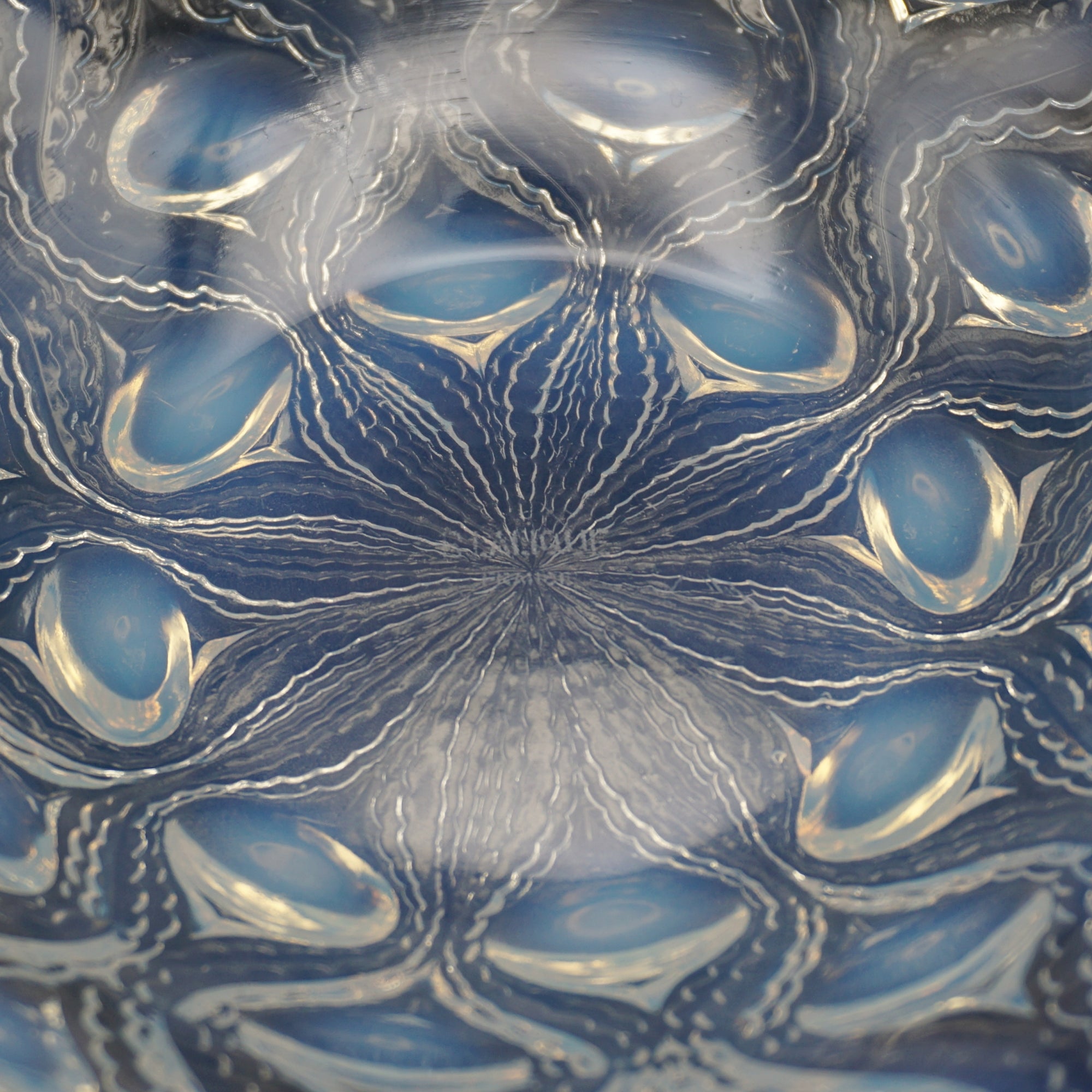 'Bulbes No.2'