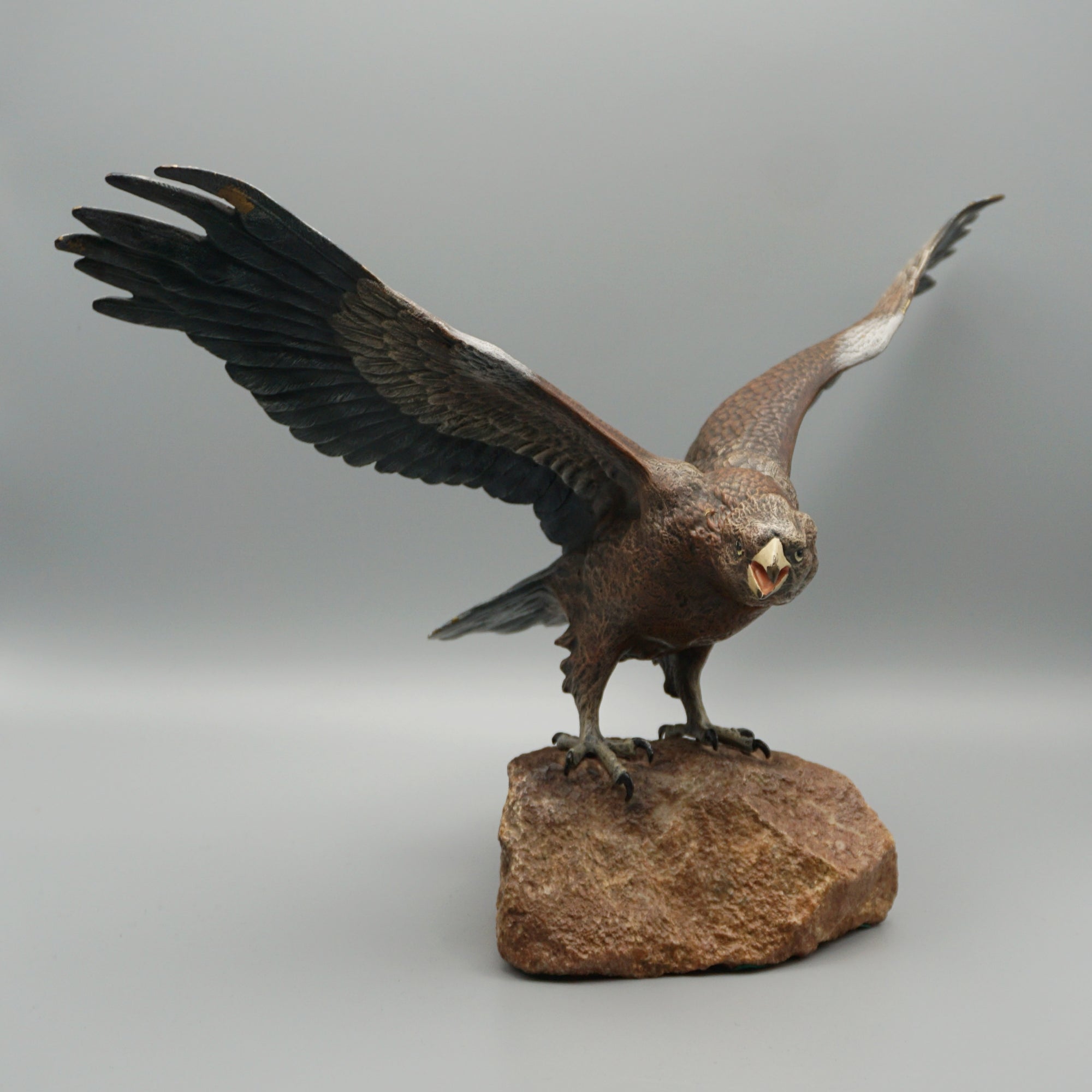 'Eagle Taking Off'