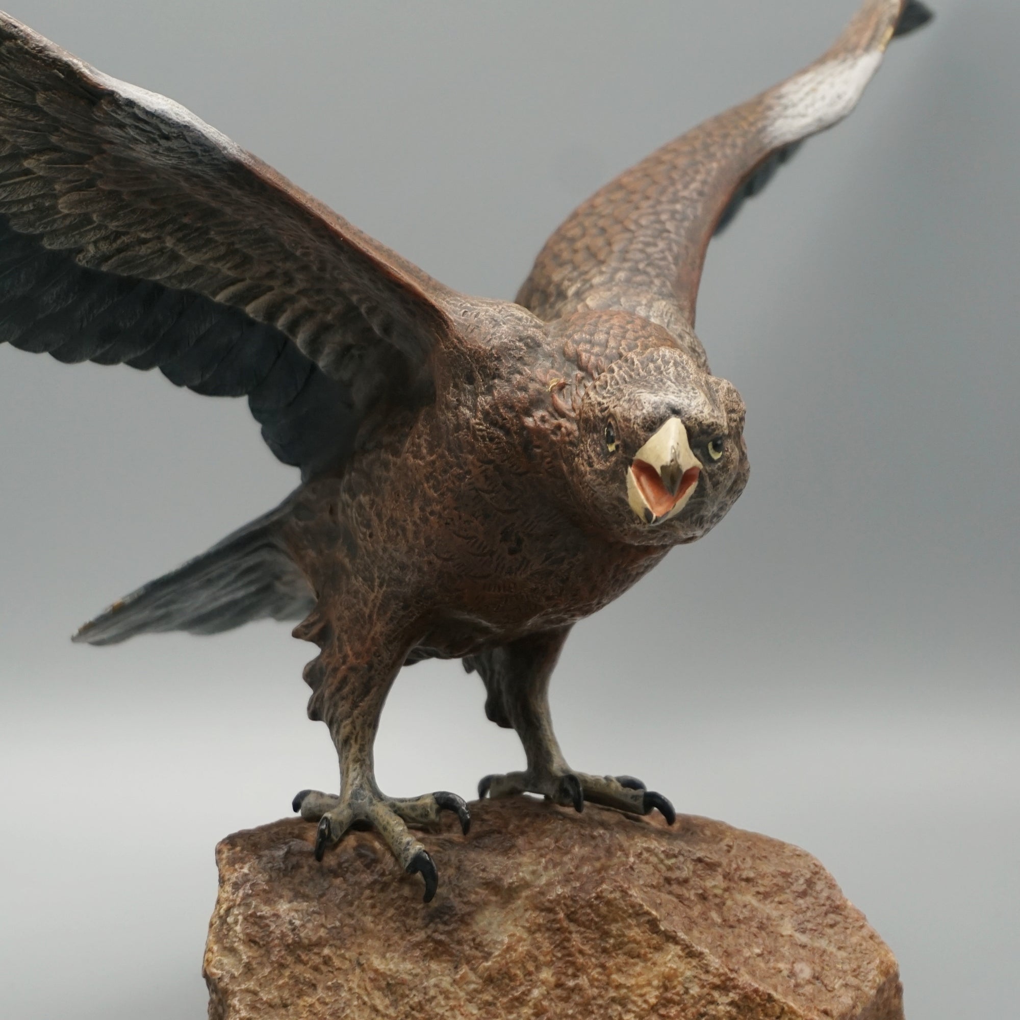 'Eagle Taking Off'