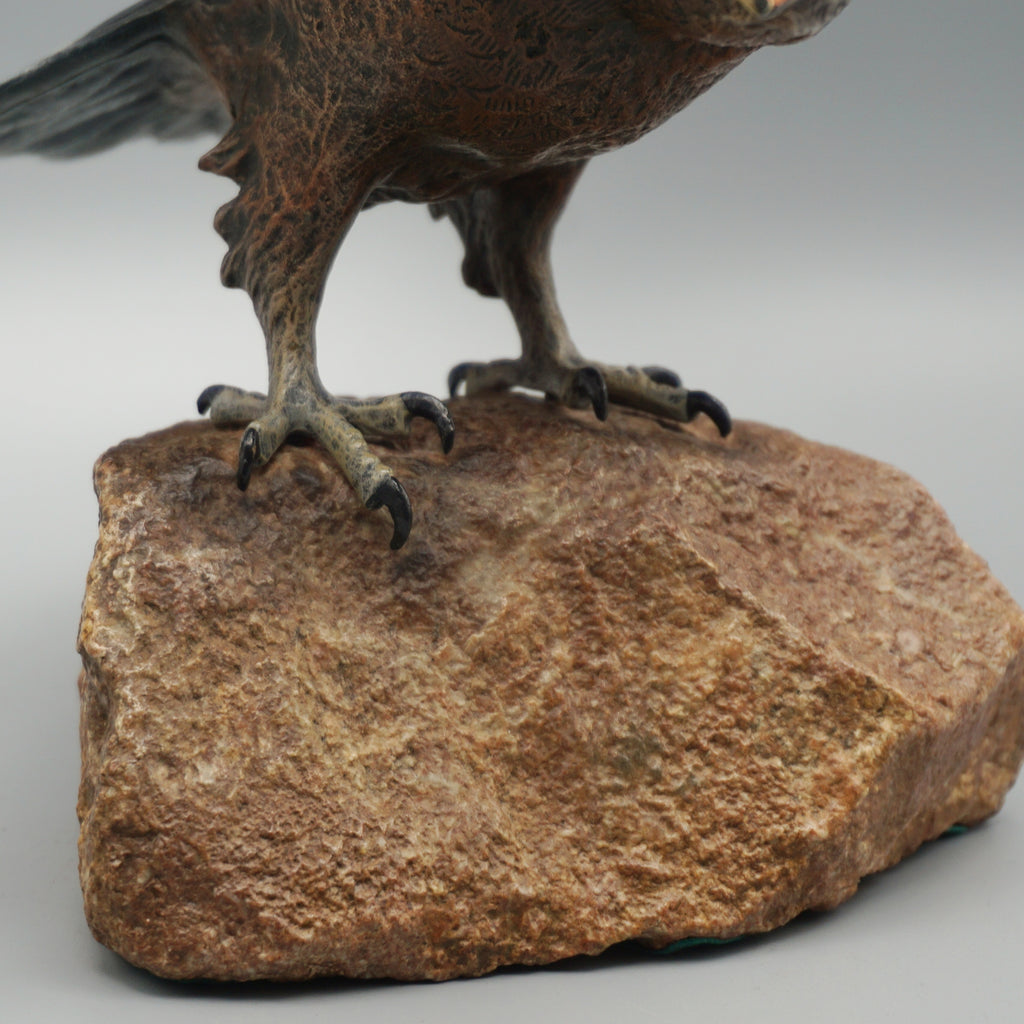 'Eagle Taking Off'