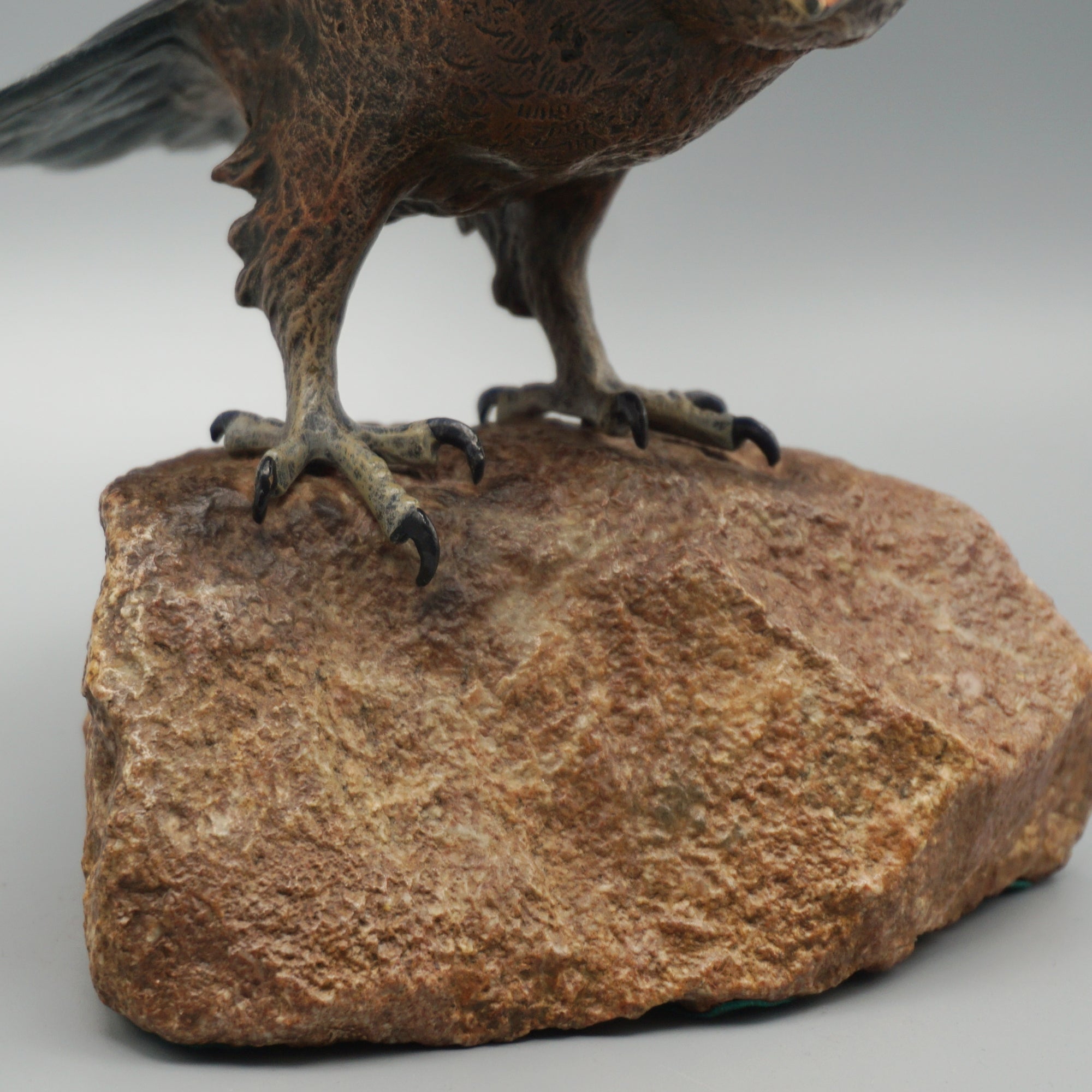 'Eagle Taking Off'