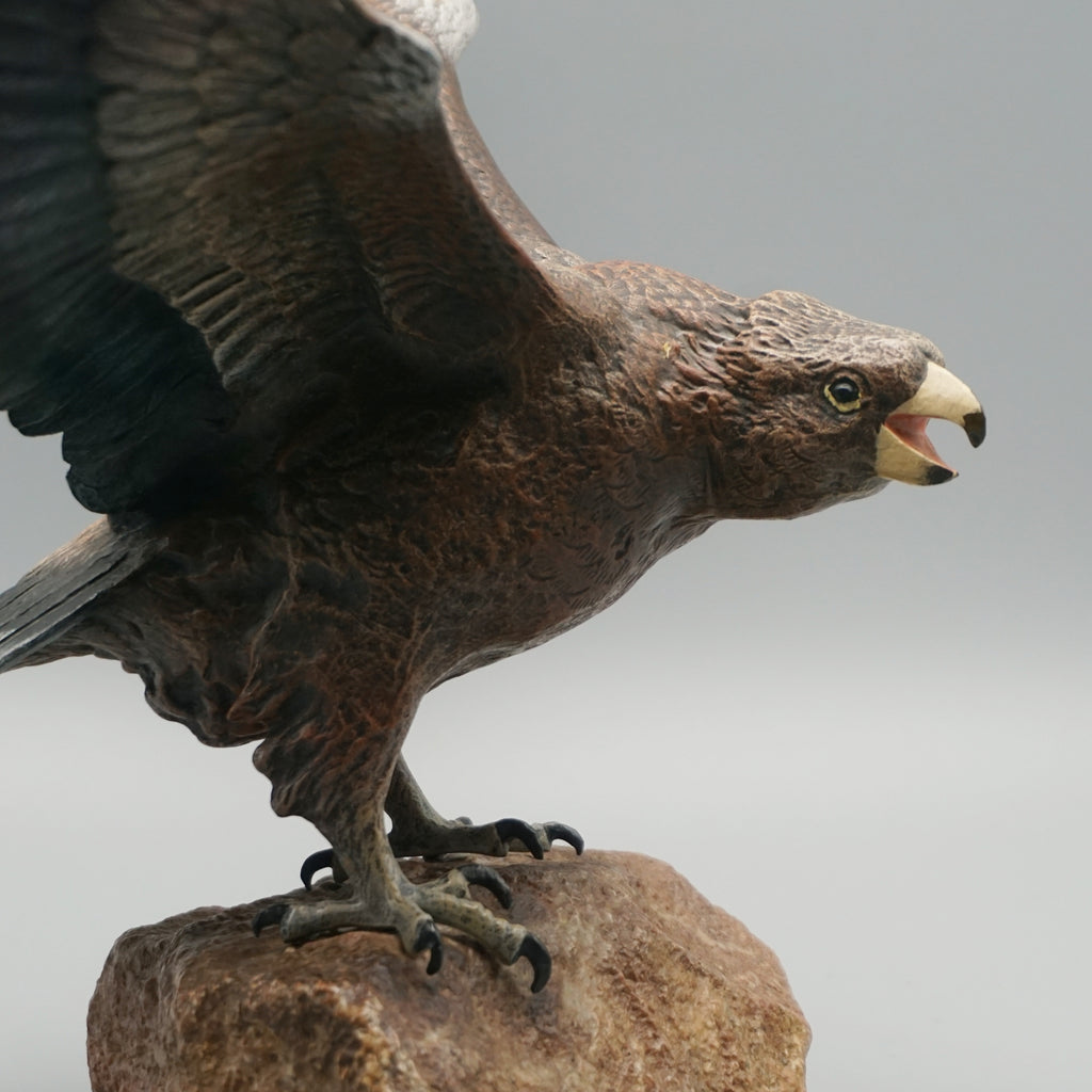 'Eagle Taking Off'
