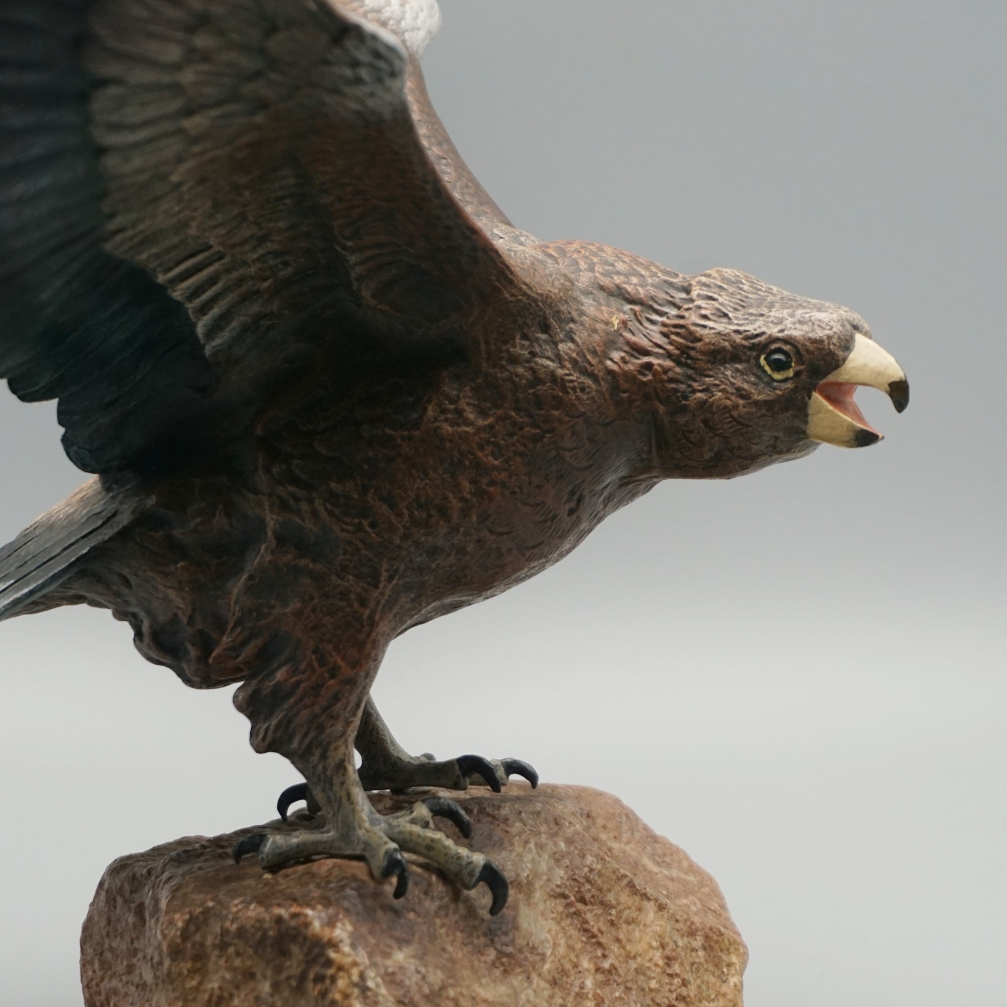 'Eagle Taking Off'