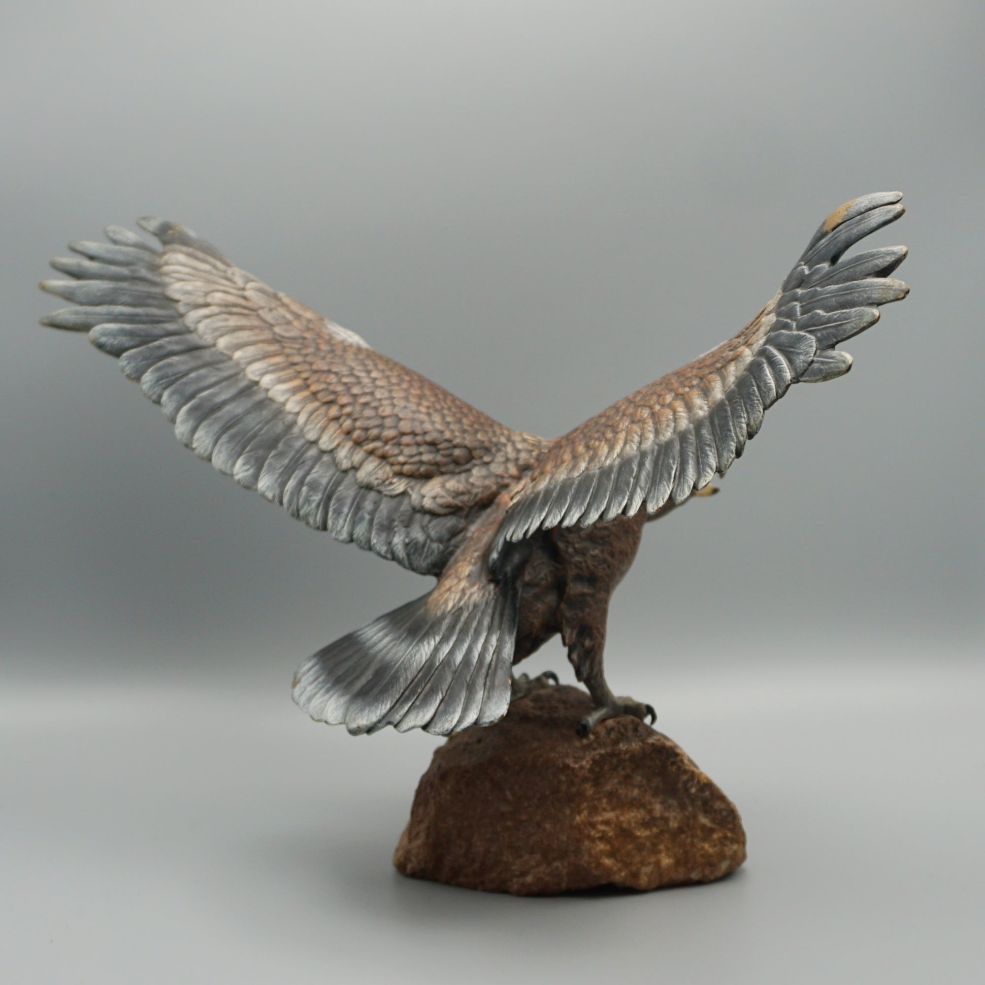 'Eagle Taking Off'
