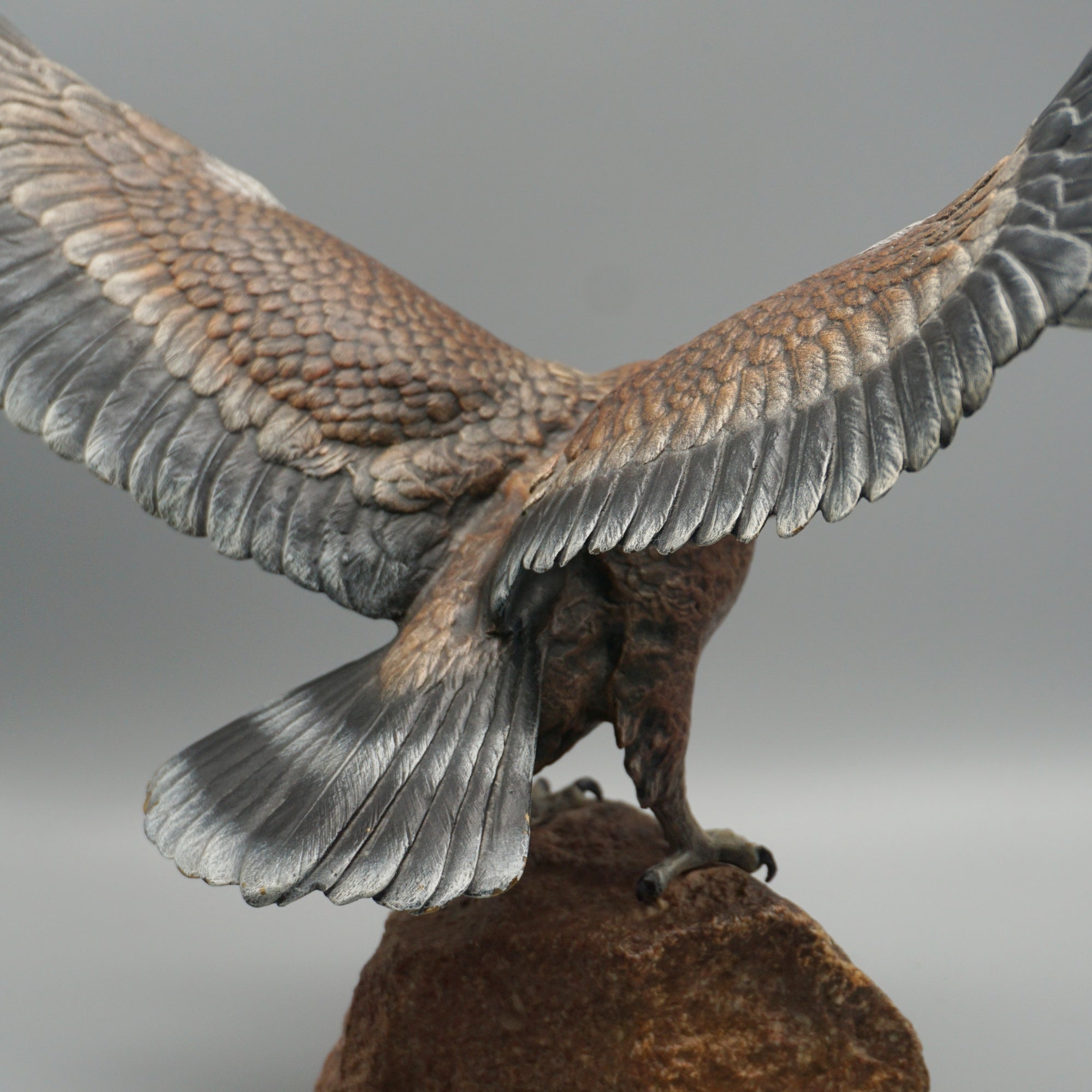 'Eagle Taking Off'