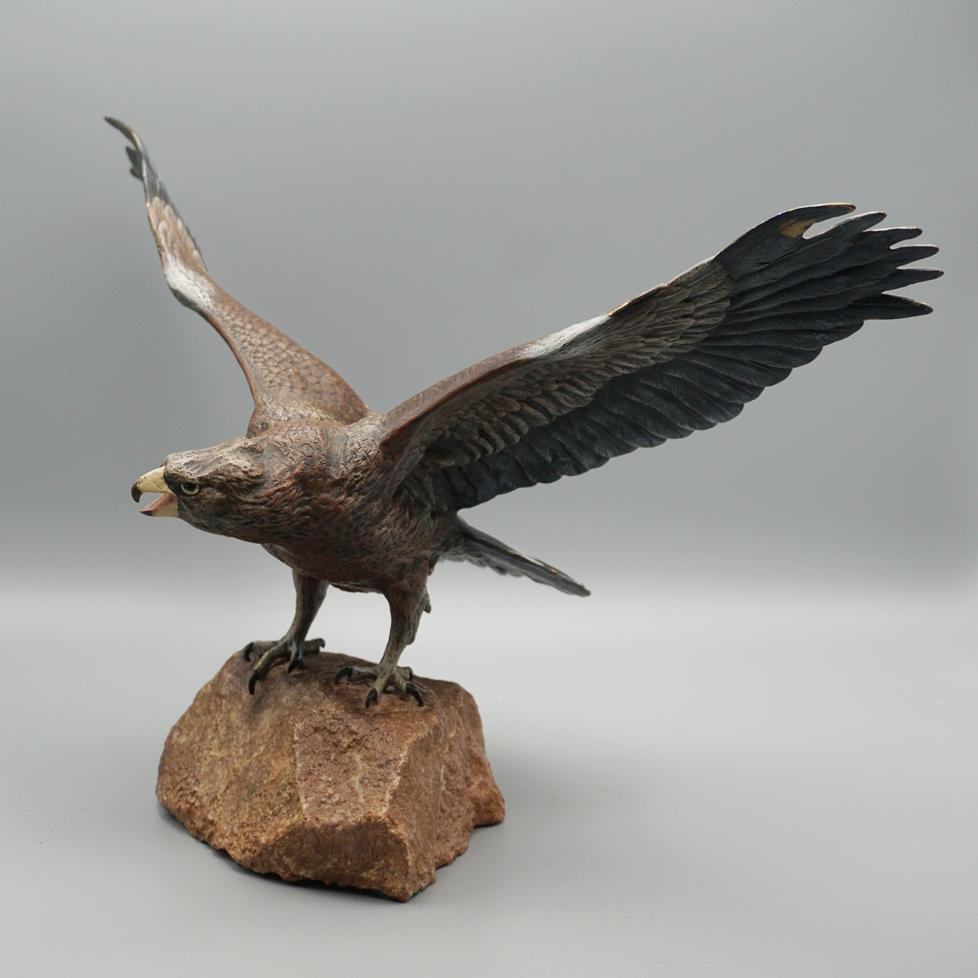 'Eagle Taking Off'