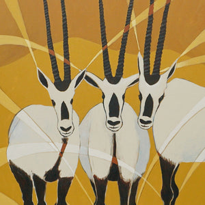 Arabian Oryx - Reserved