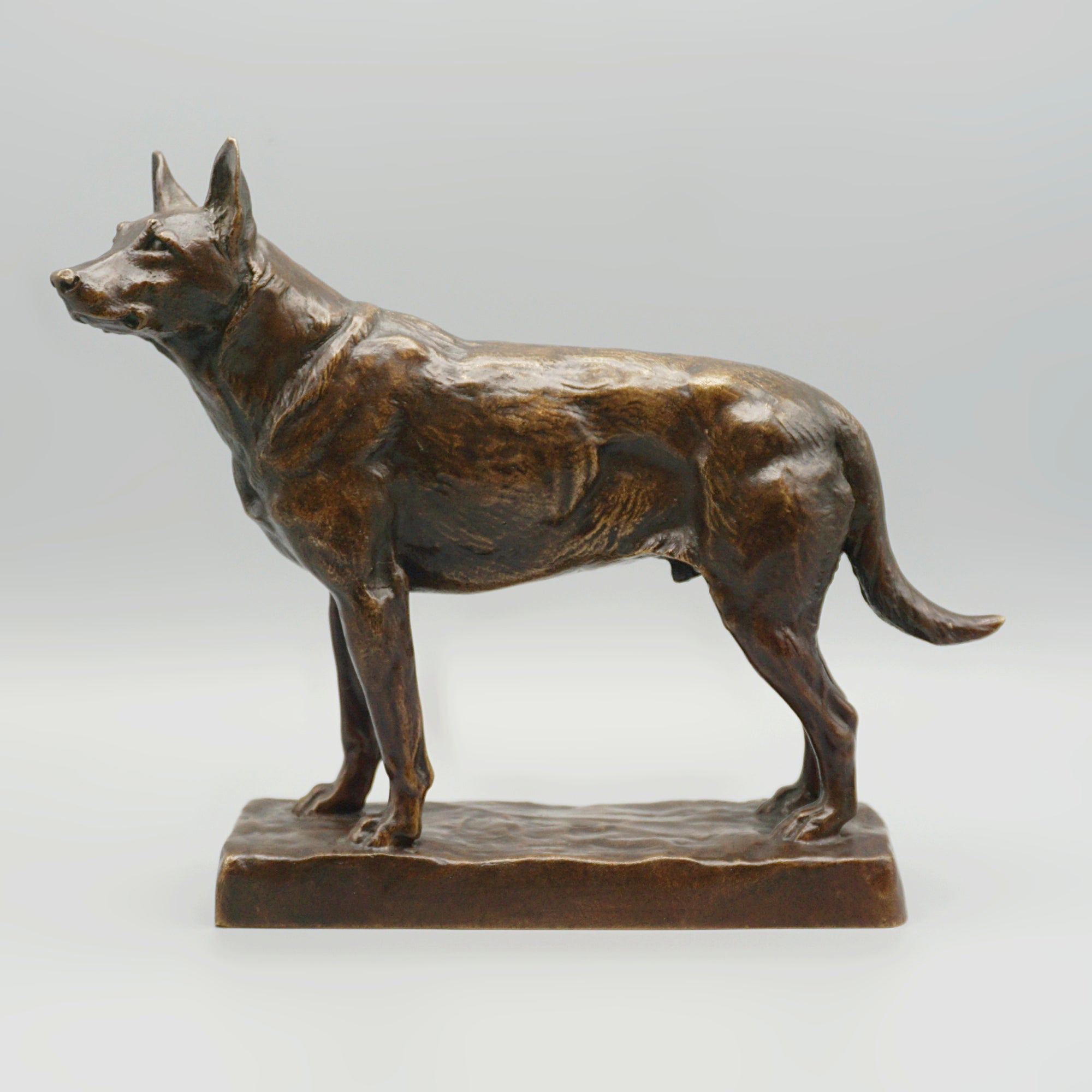 Bronze German Shepard by Amédéé Charles Loyseau