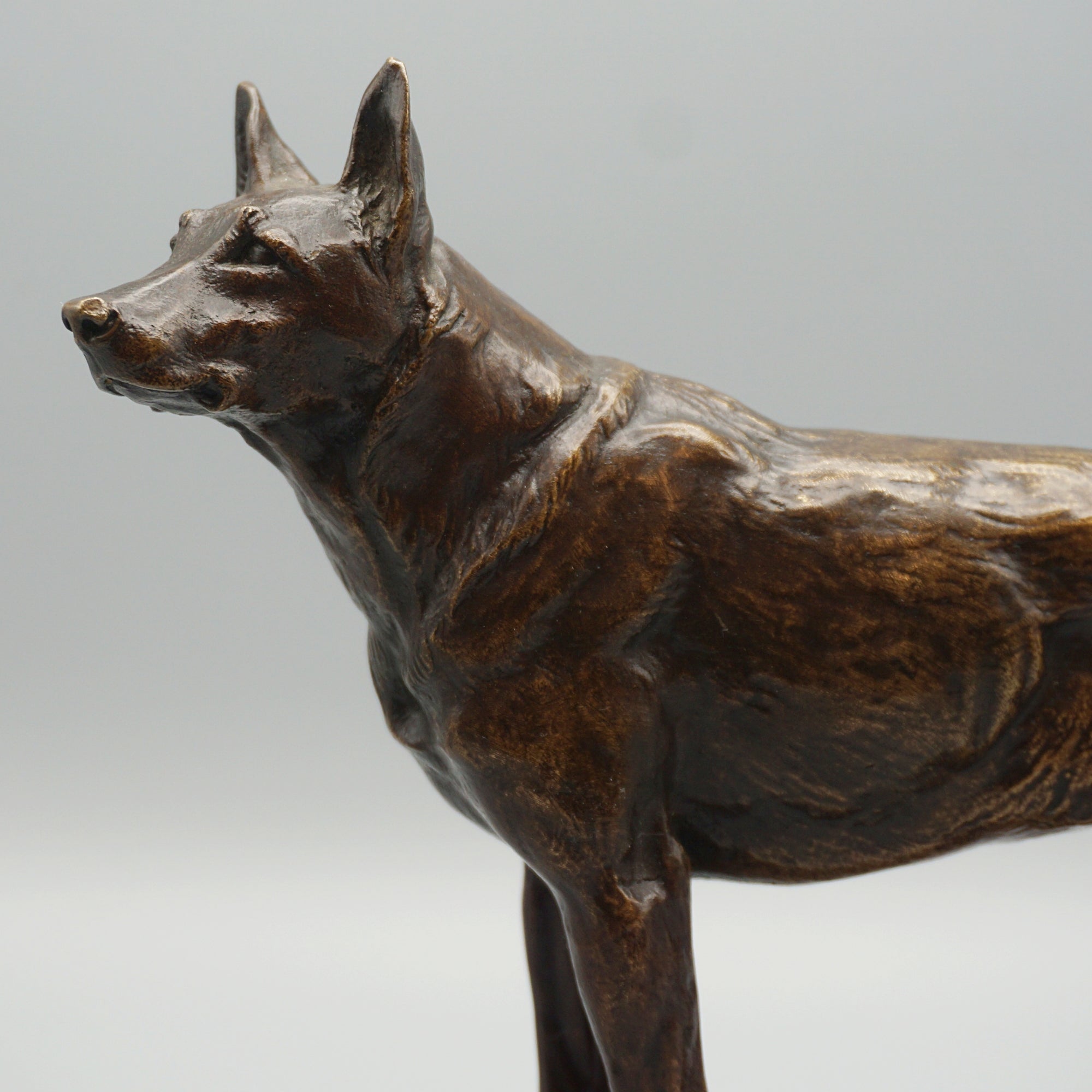 Bronze German Shepard by Amédéé Charles Loyseau