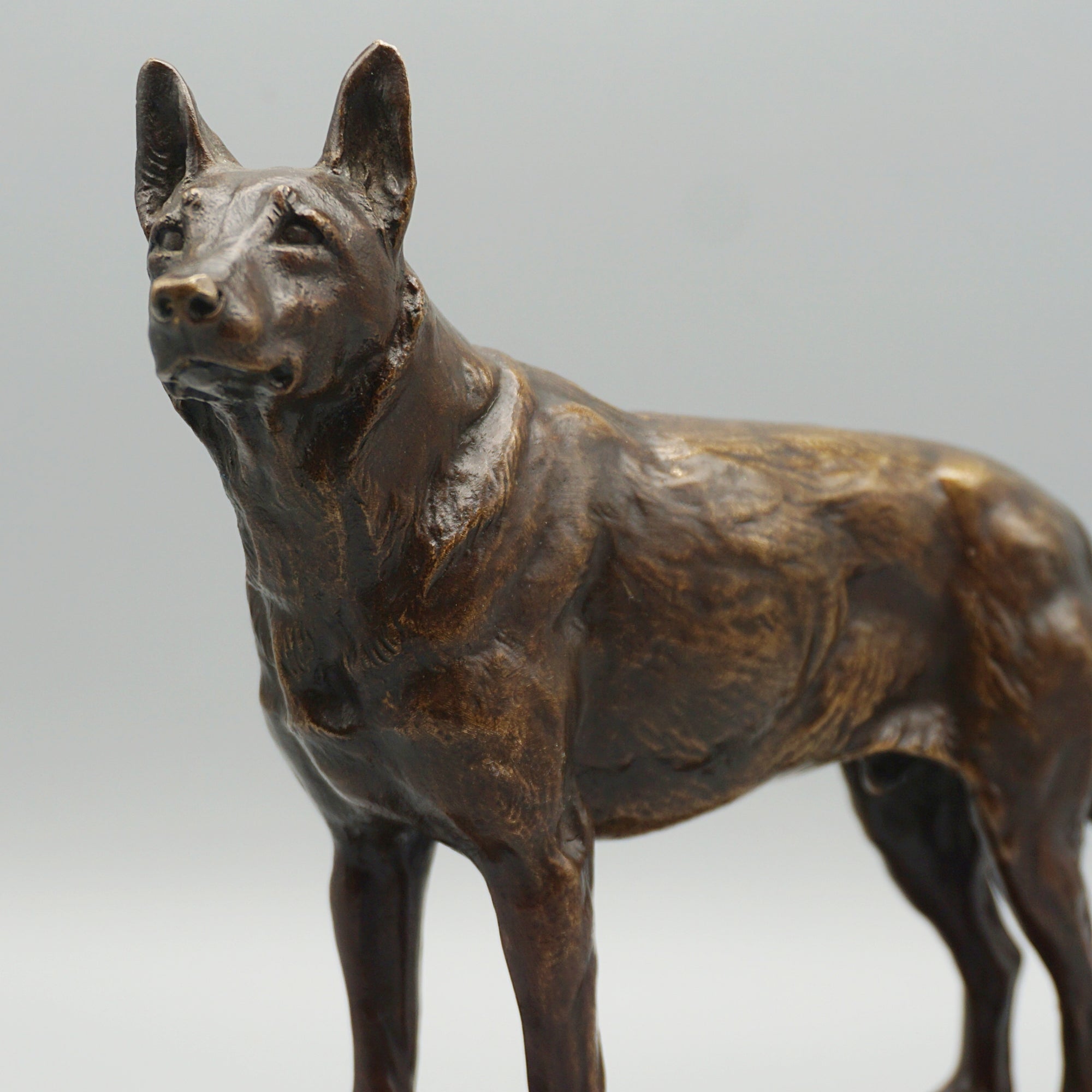 Bronze German Shepard by Amédéé Charles Loyseau