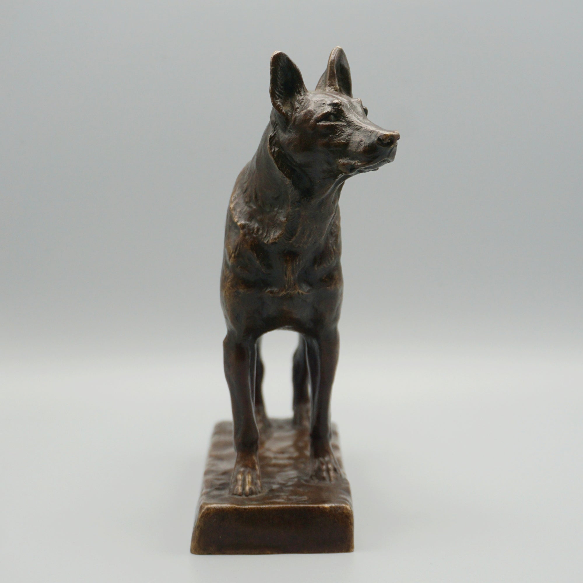 Bronze German Shepard by Amédéé Charles Loyseau