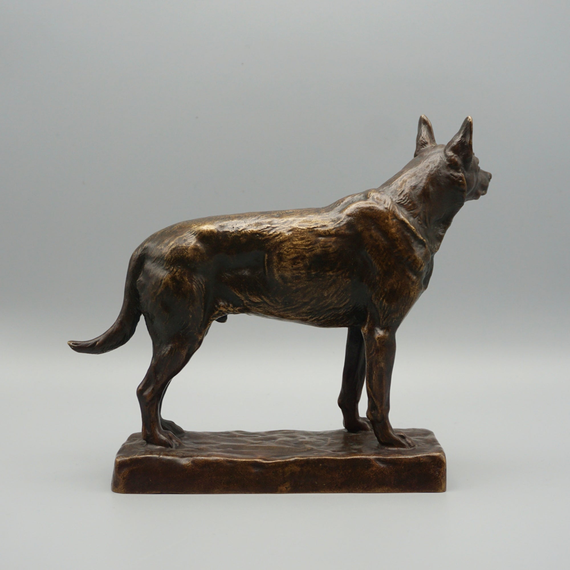 Bronze German Shepard by Amédéé Charles Loyseau