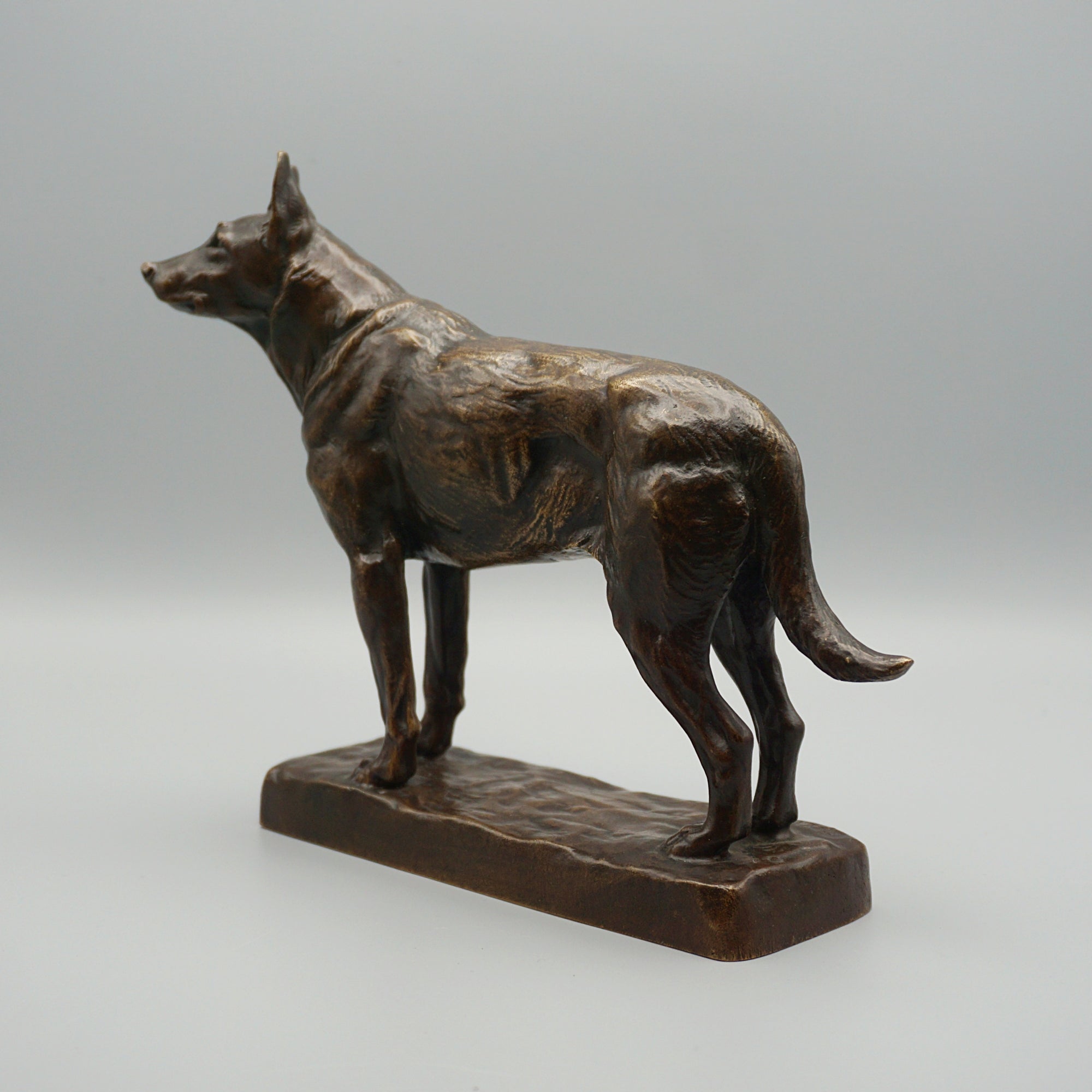 Bronze German Shepard by Amédéé Charles Loyseau