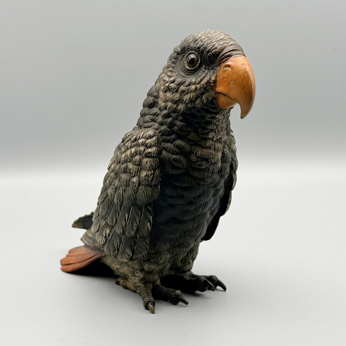 Grey Parrot Franz Bergman | Markies Antiques Ltd